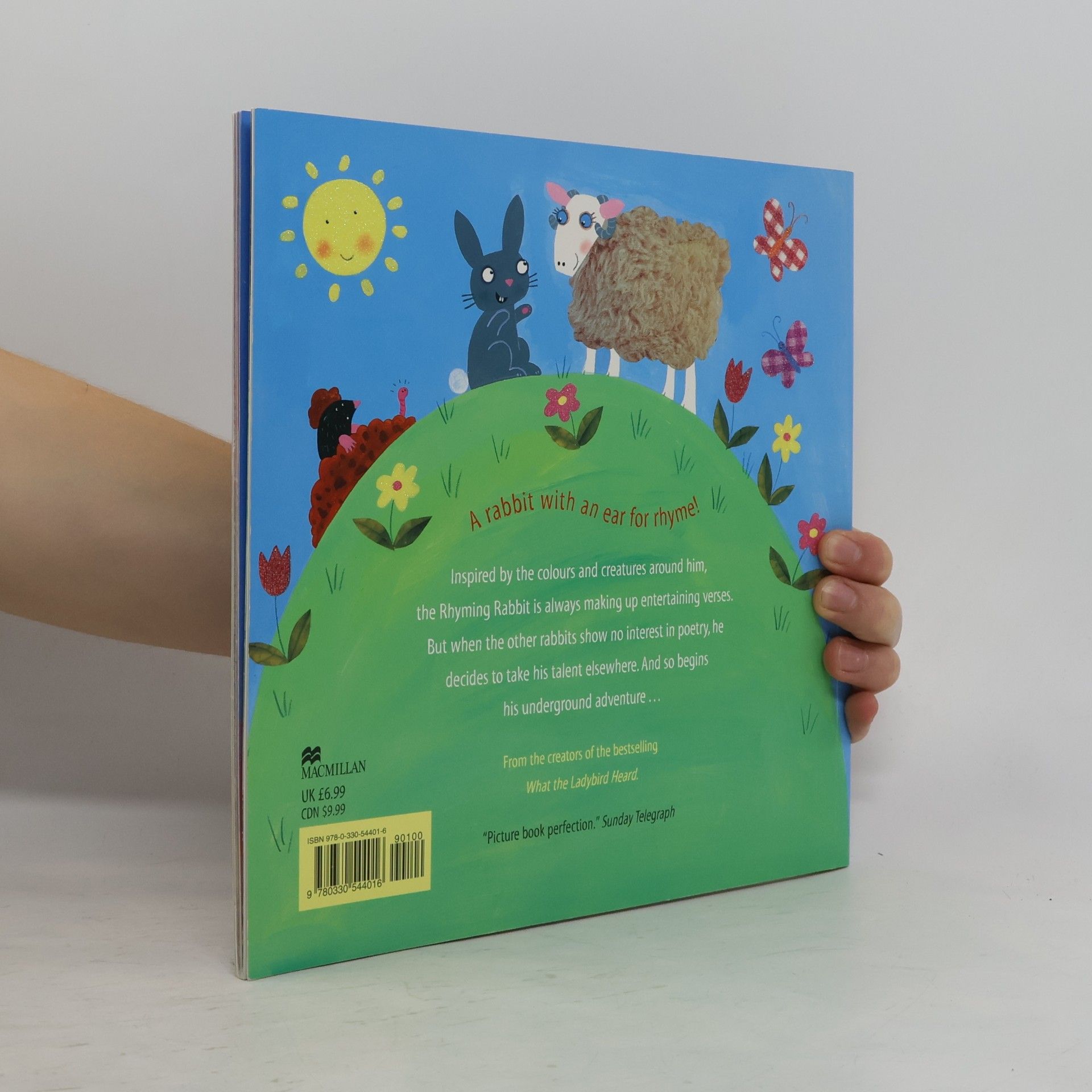 Julia Donaldson The Rhyming Rabbit