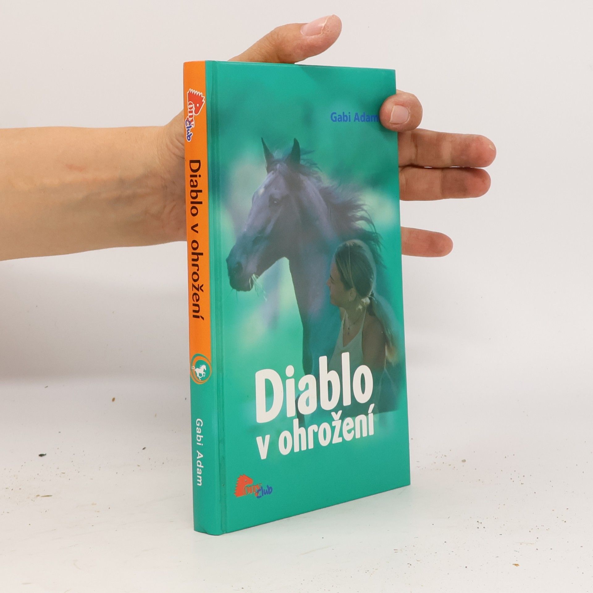 Gabi Adam Diablo v ohrožení. Diablo 2