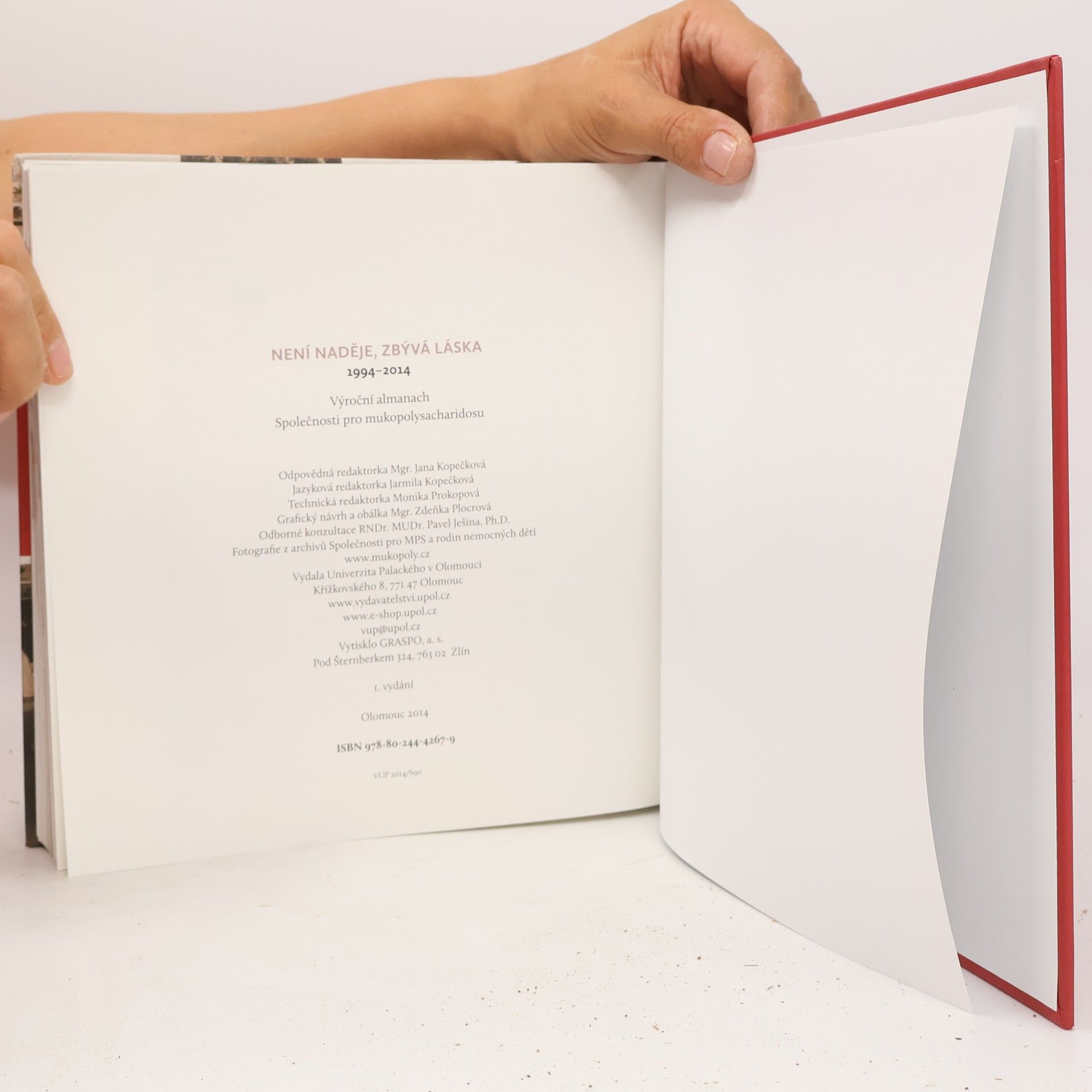 Various authors Není naděje, zbývá láska
