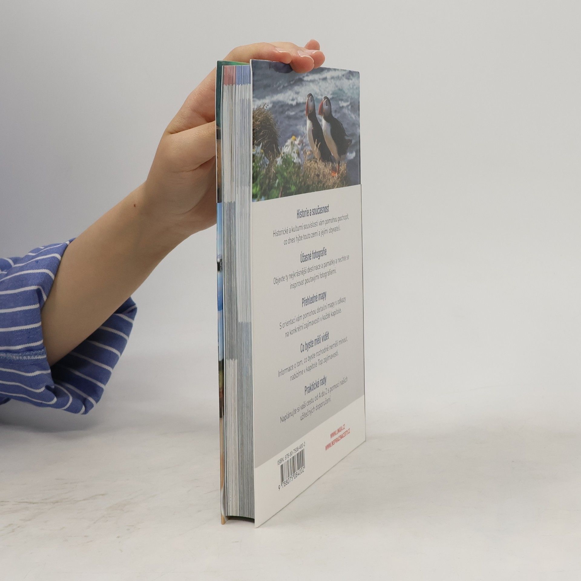 Autores varios Island