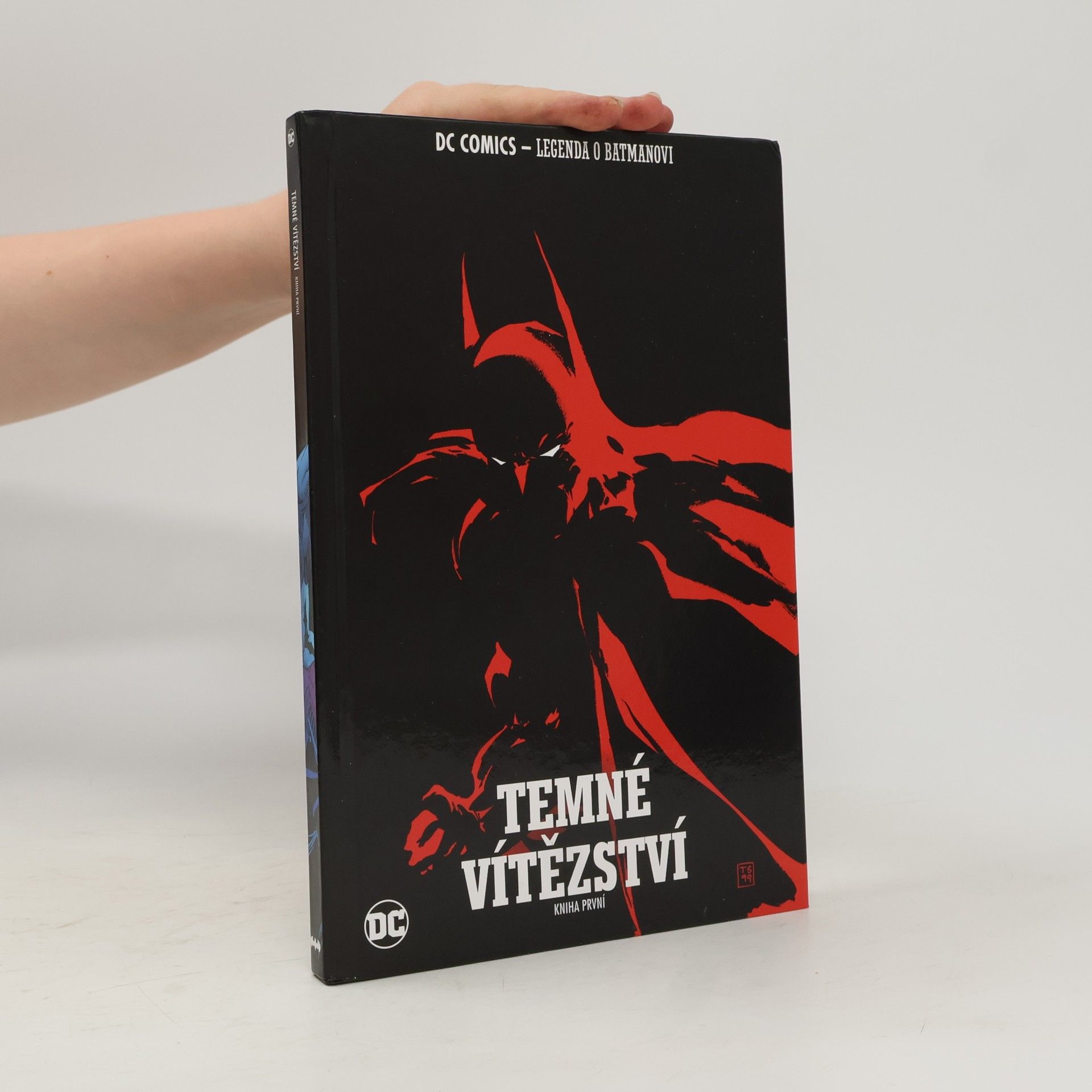 Tim Sale Jeph Loeb Batman: Temné vítězství. Kniha první