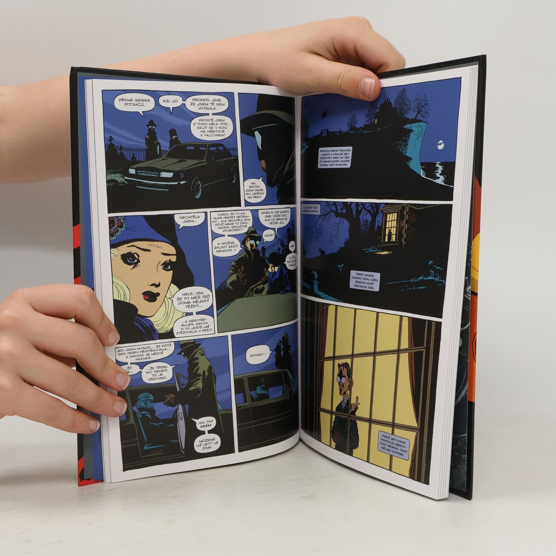 Tim Sale Jeph Loeb Batman: Temné vítězství. Kniha první