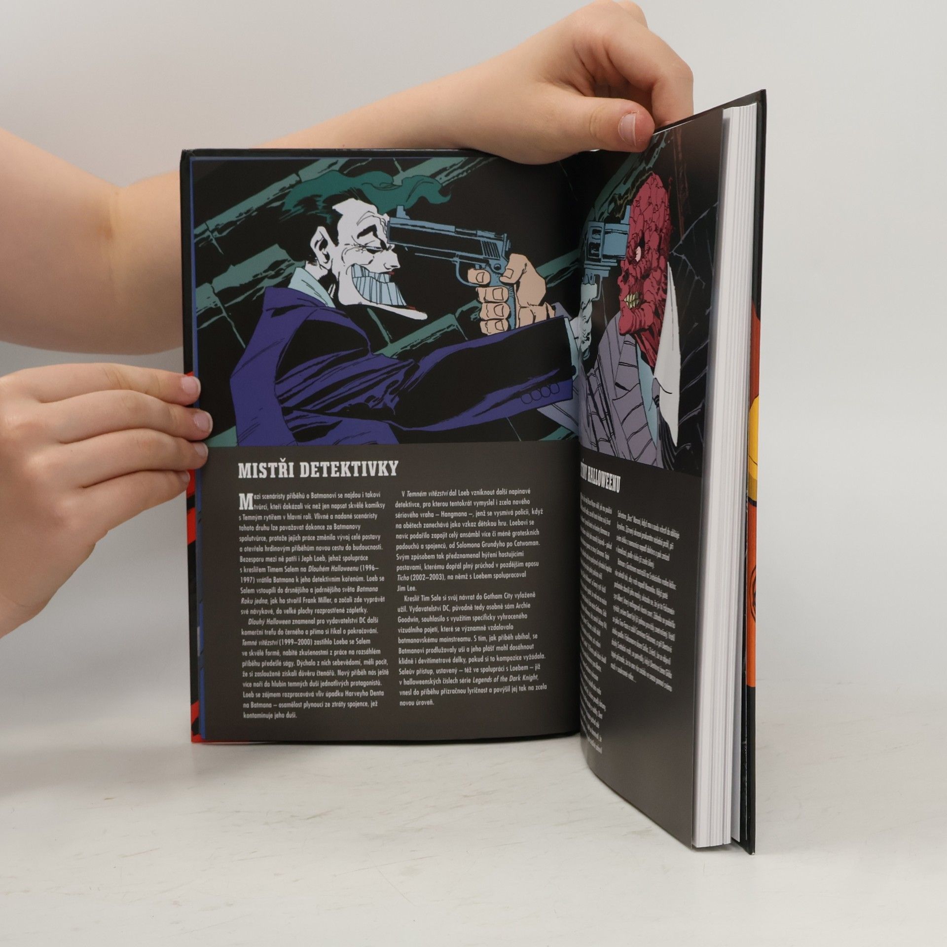 Tim Sale Jeph Loeb Batman: Temné vítězství. Kniha první