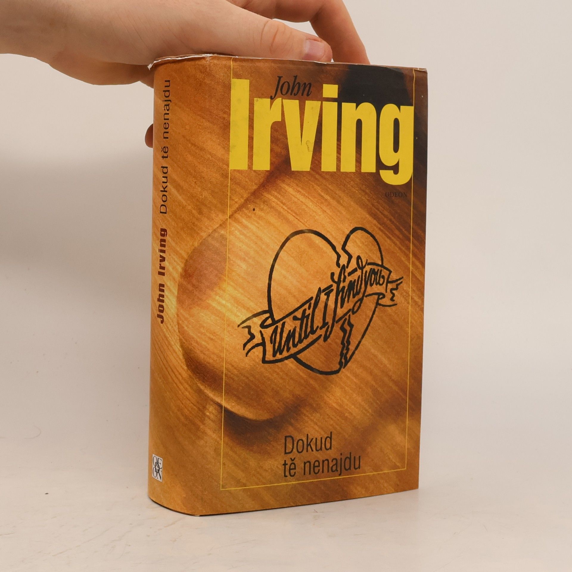 John Irving Dokud tě nenajdu