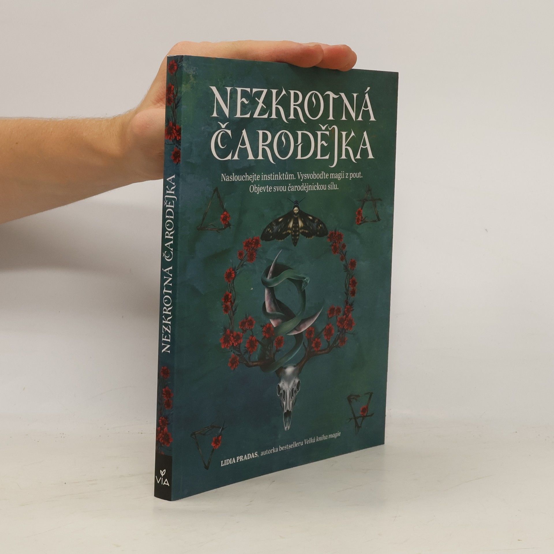Nezkrotná čarodějka : Naslouchejte instinktům. Vysvoboďte magii z pout. Objevte svou čarodějnickou sílu.