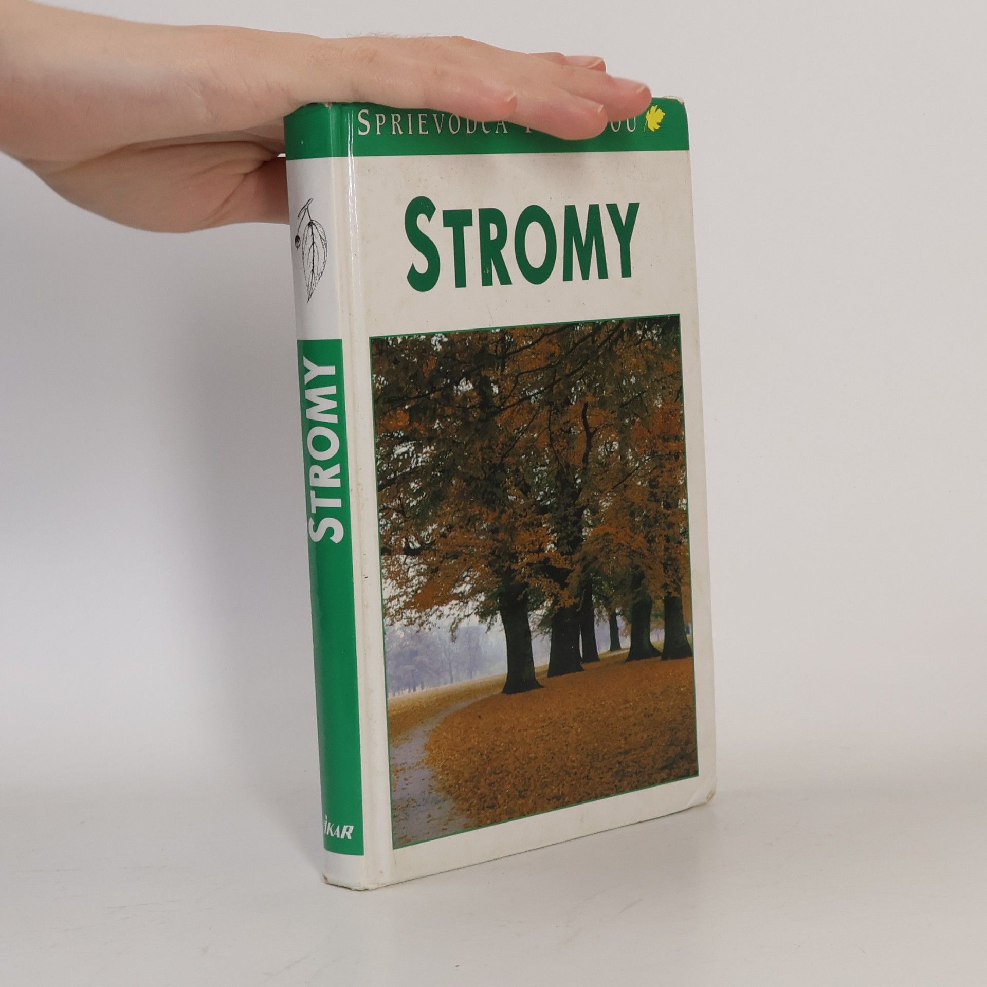 Autores varios Stromy