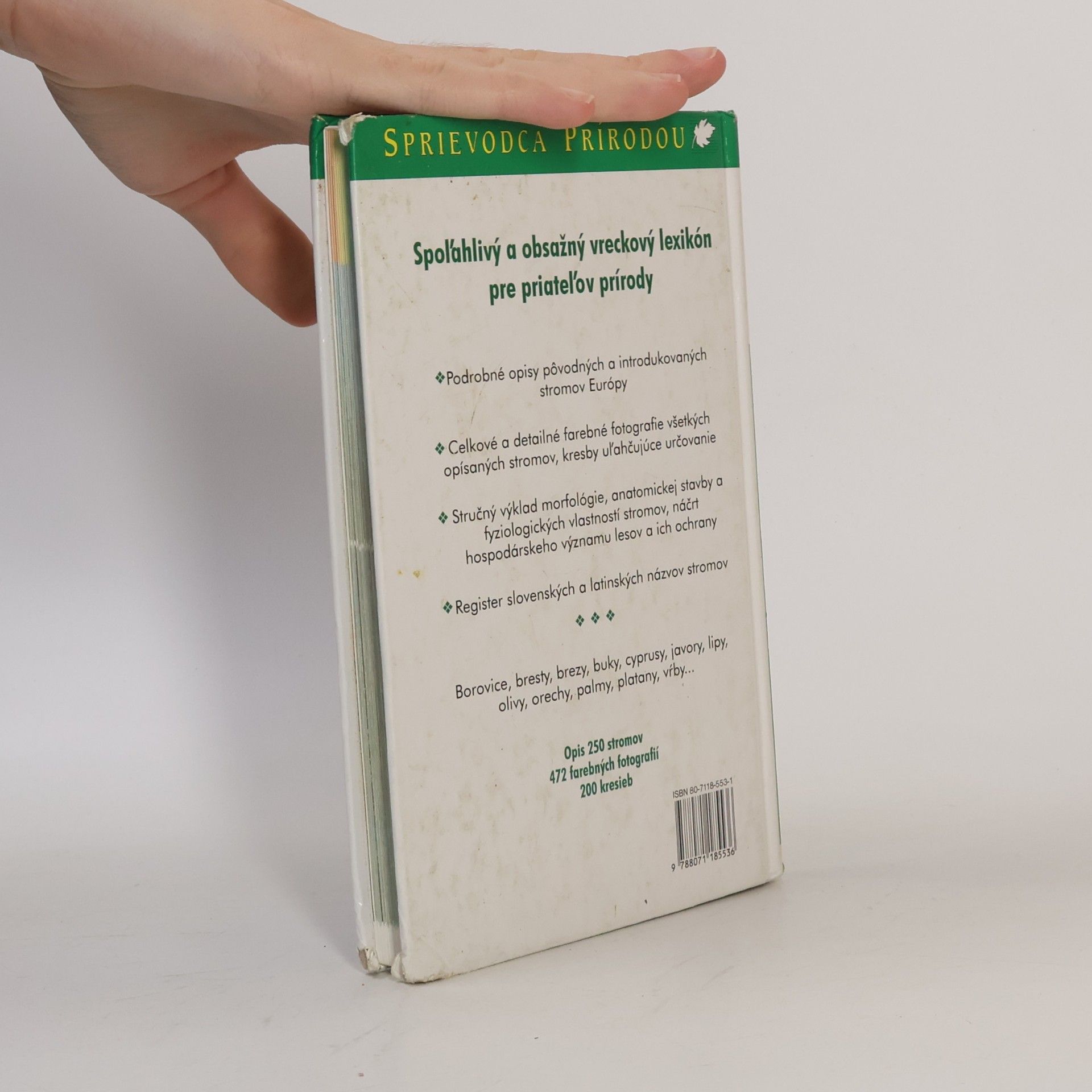 Autorenkollektiv Stromy