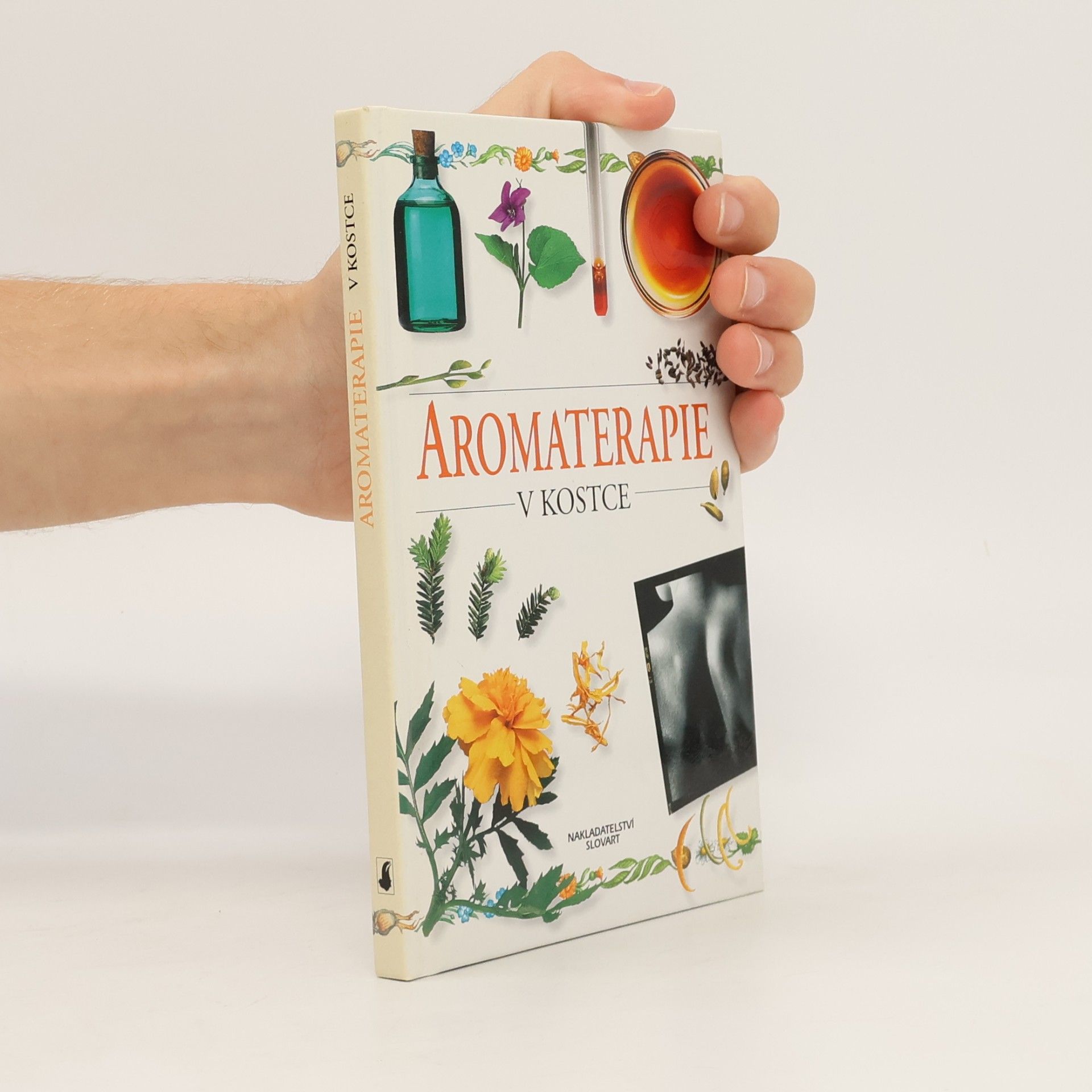Sheila Lavery Aromaterapie v kostce