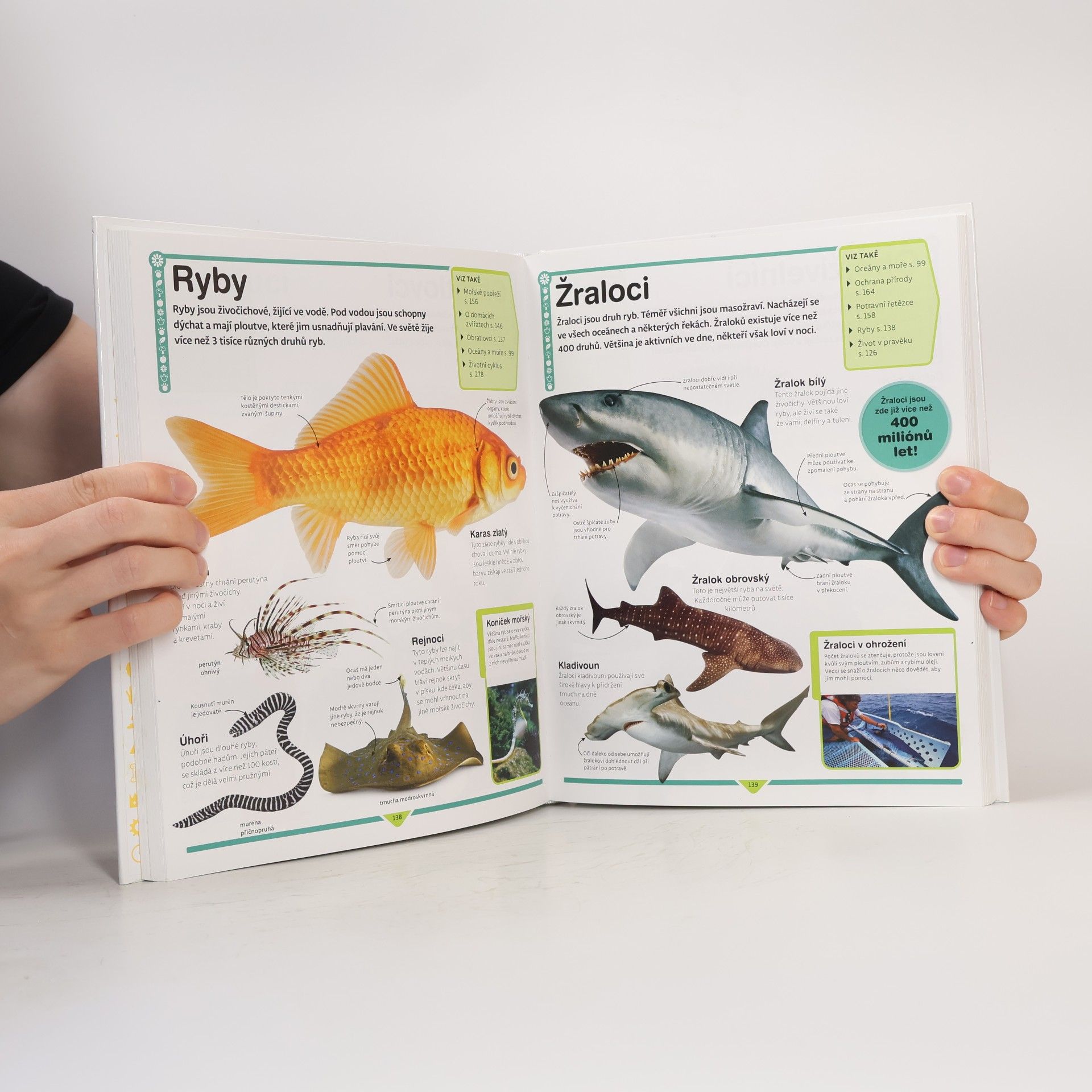 Autorenkollektiv Dětská encyklopedie - kniha, která má odpověď na vše