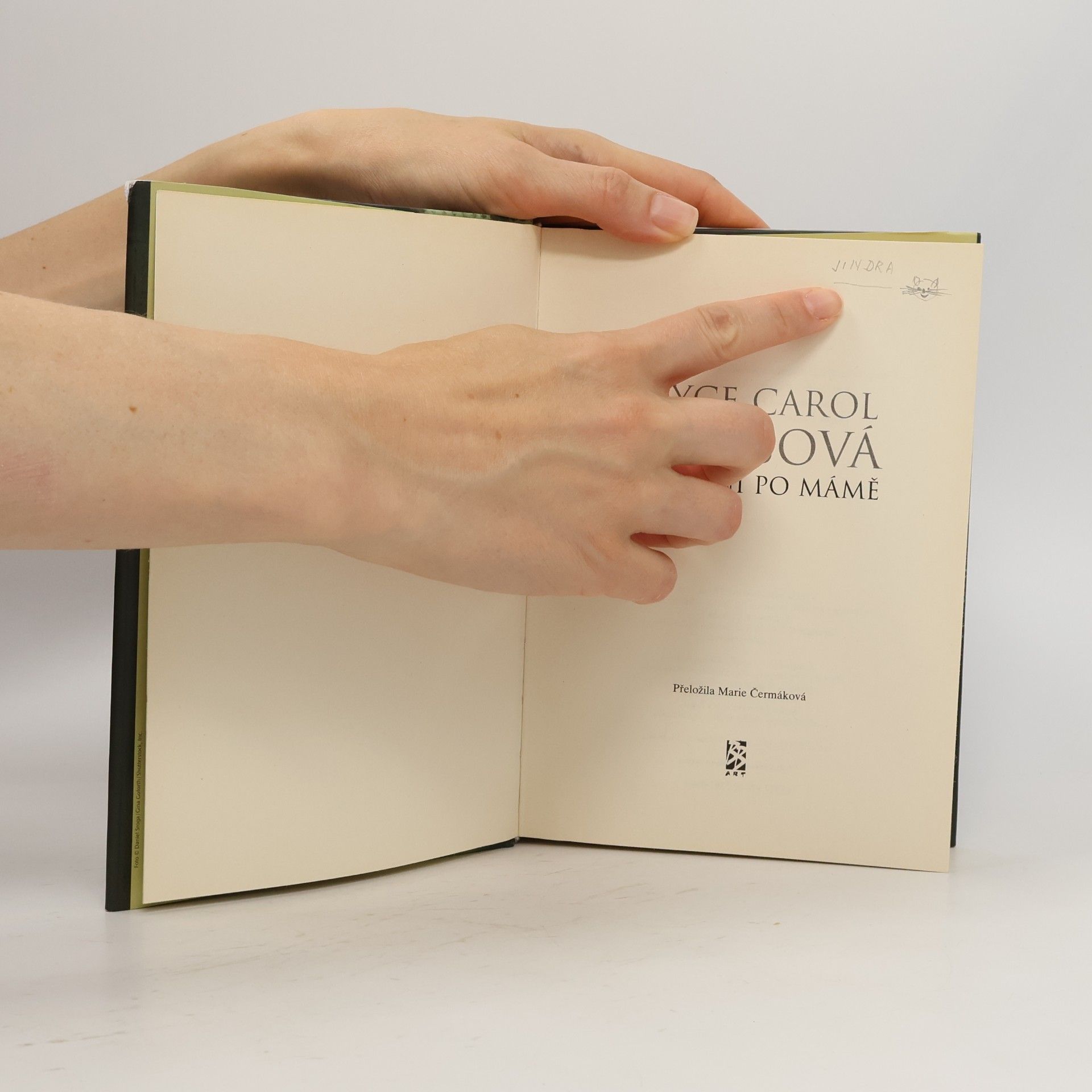 Joyce Carol Oates Stýskání po mámě