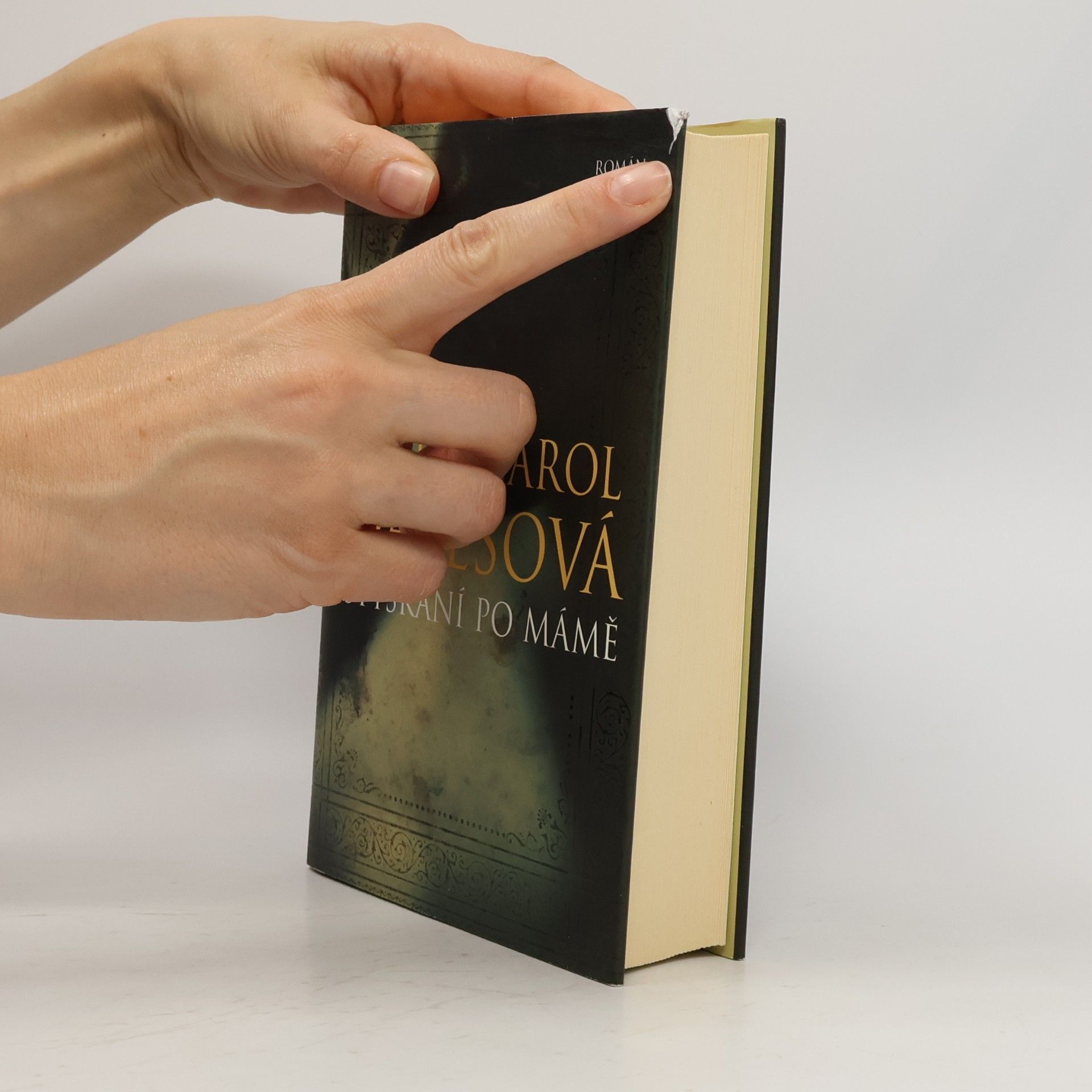 Joyce Carol Oates Stýskání po mámě