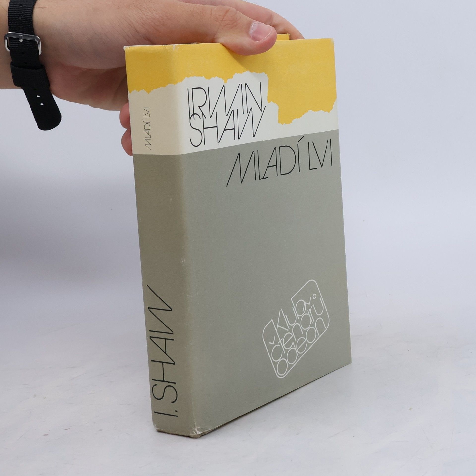 Irwin Shaw Mladí lvi