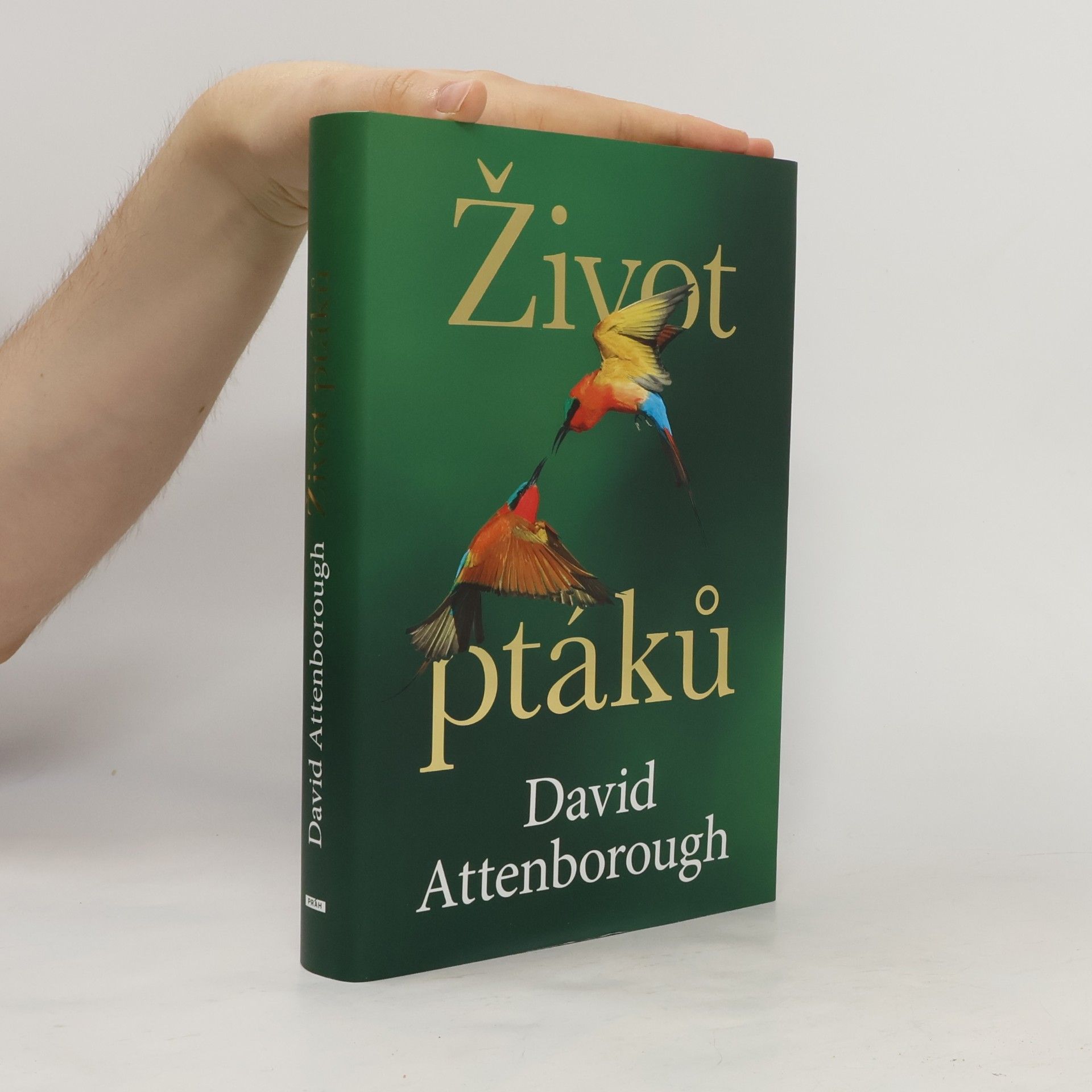David Attenborough Život ptáků