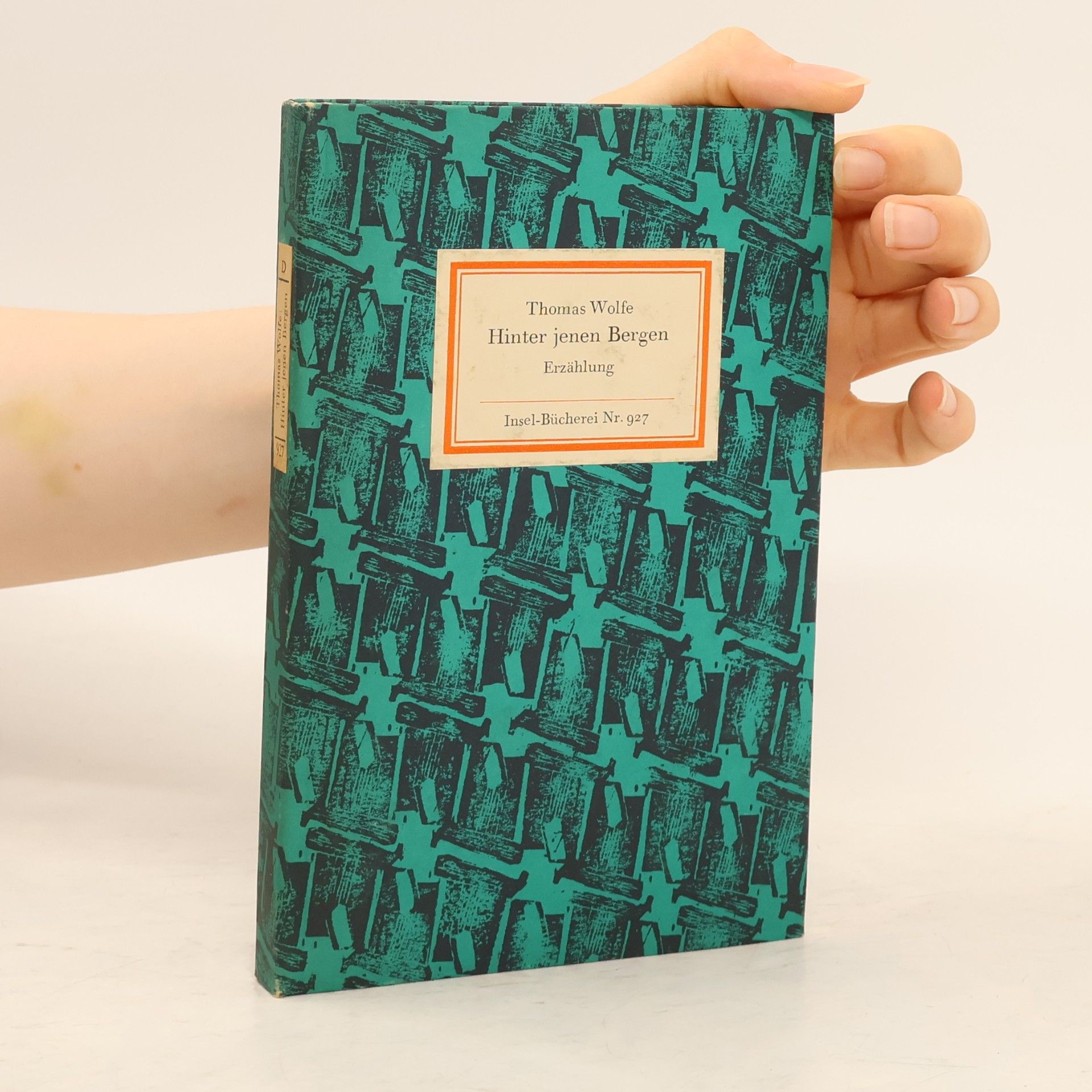 Thomas Wolfe Hinter jenen Bergen