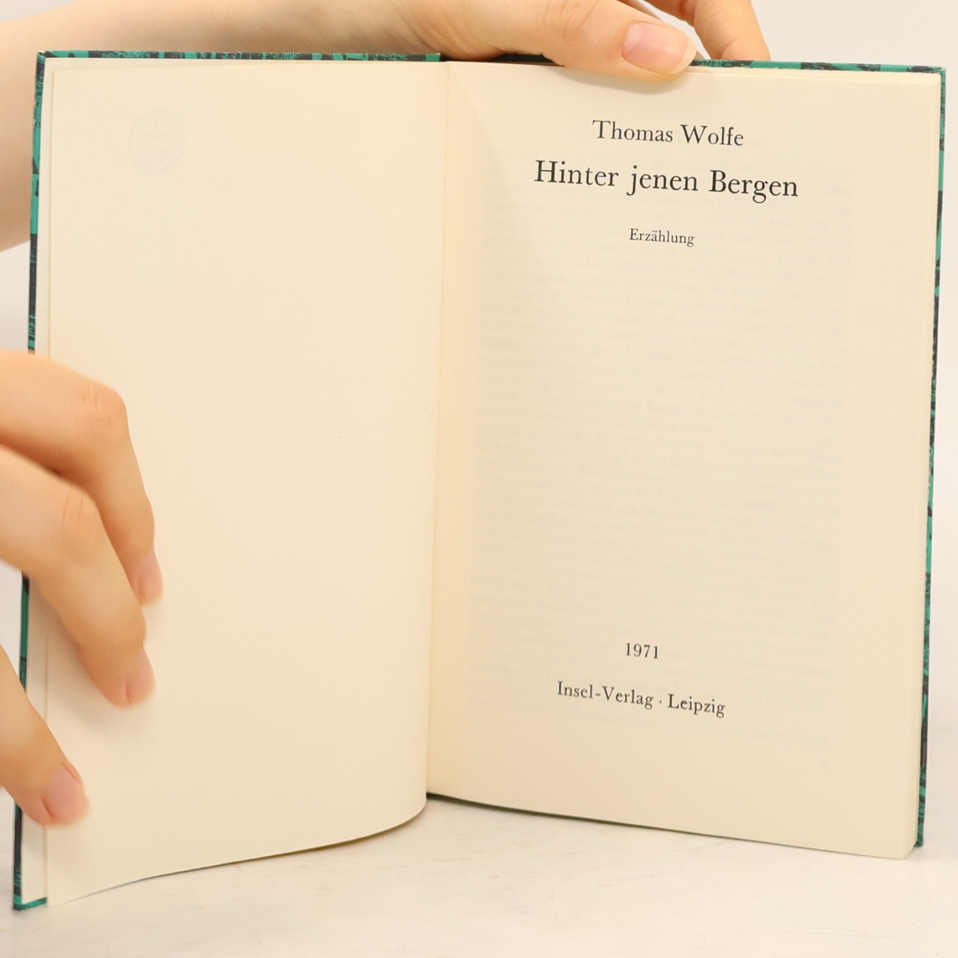 Wolfe Thomas Hinter jenen Bergen