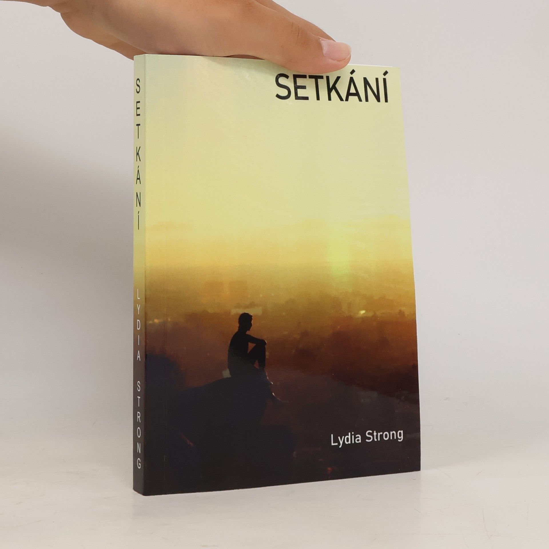 Setkání