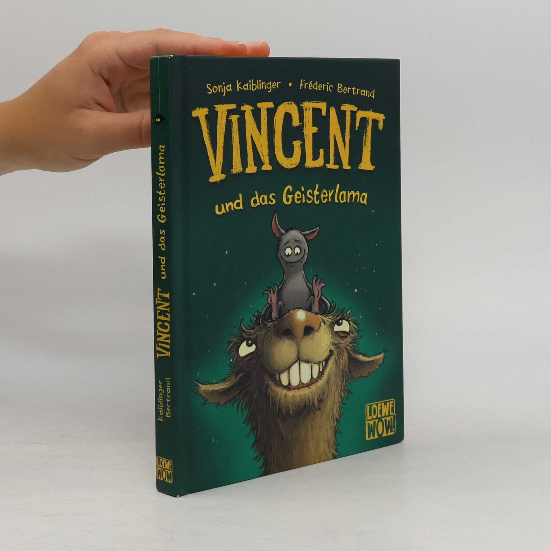 Vincent und das Geisterlama