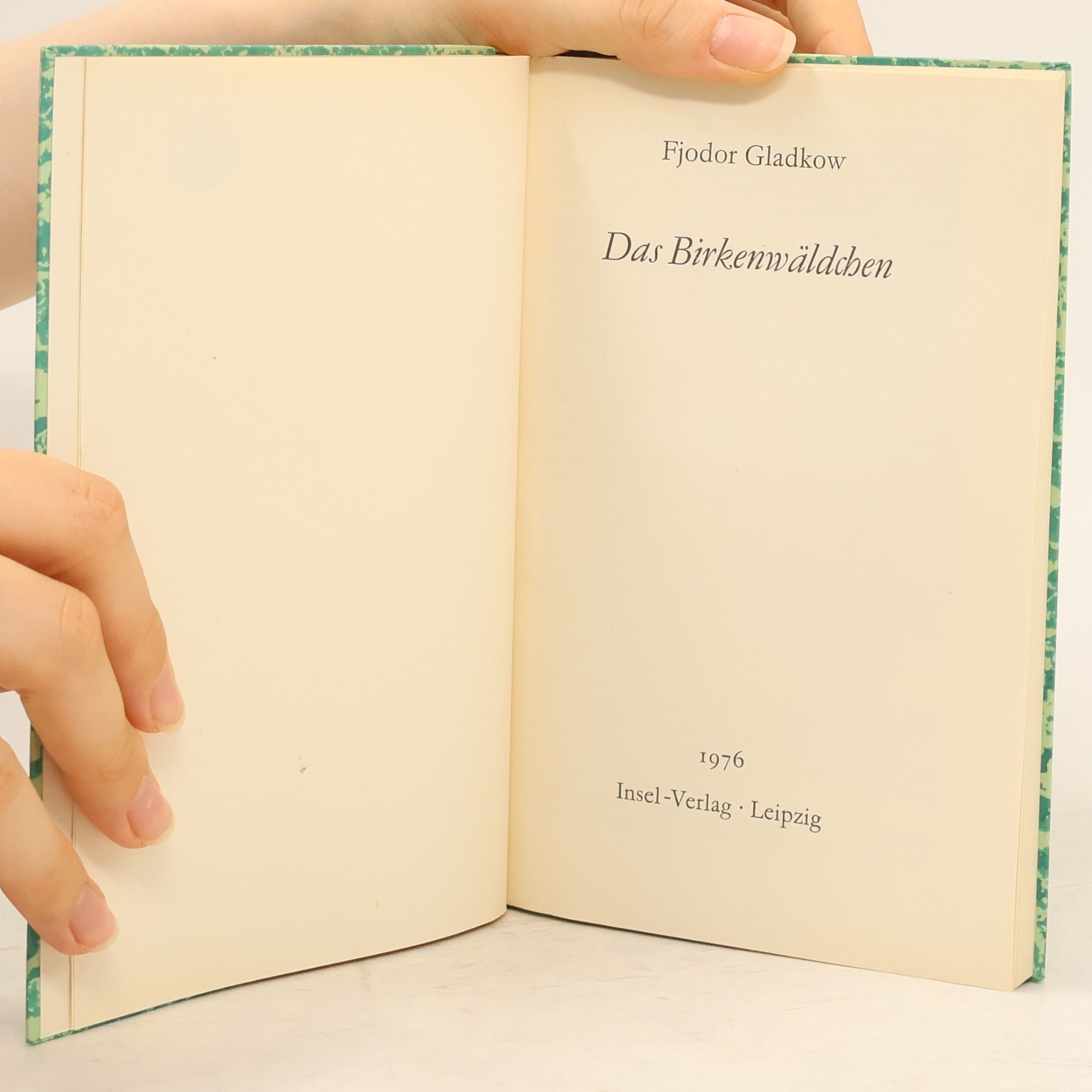 Fjodor Gladkow Das Birkenwäldchen