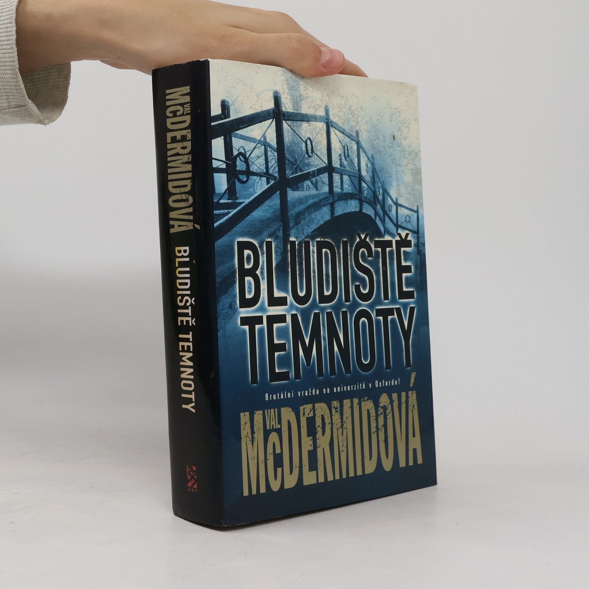 Val McDermid Bludiště temnoty