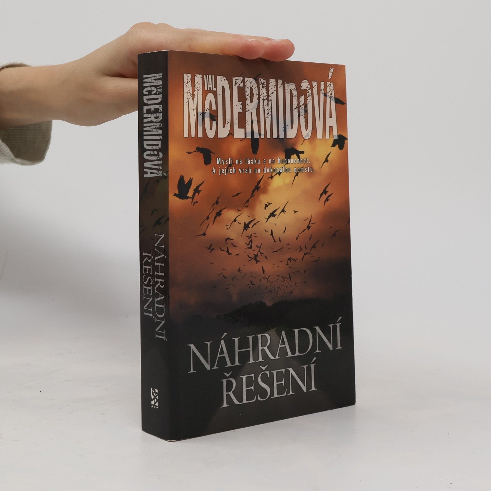 Val McDermid Náhradní řešení