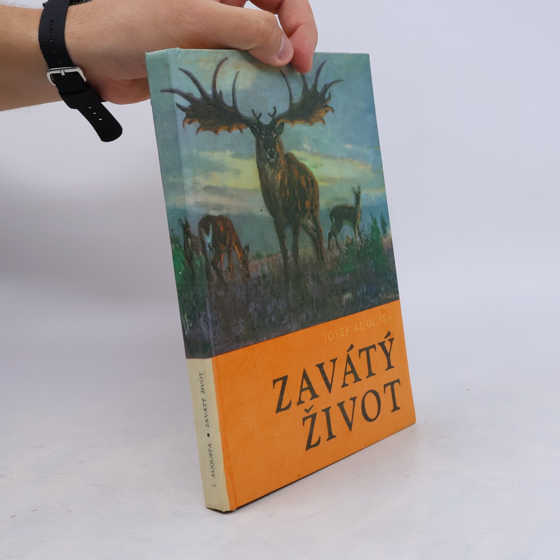 Josef Augusta Zavátý život