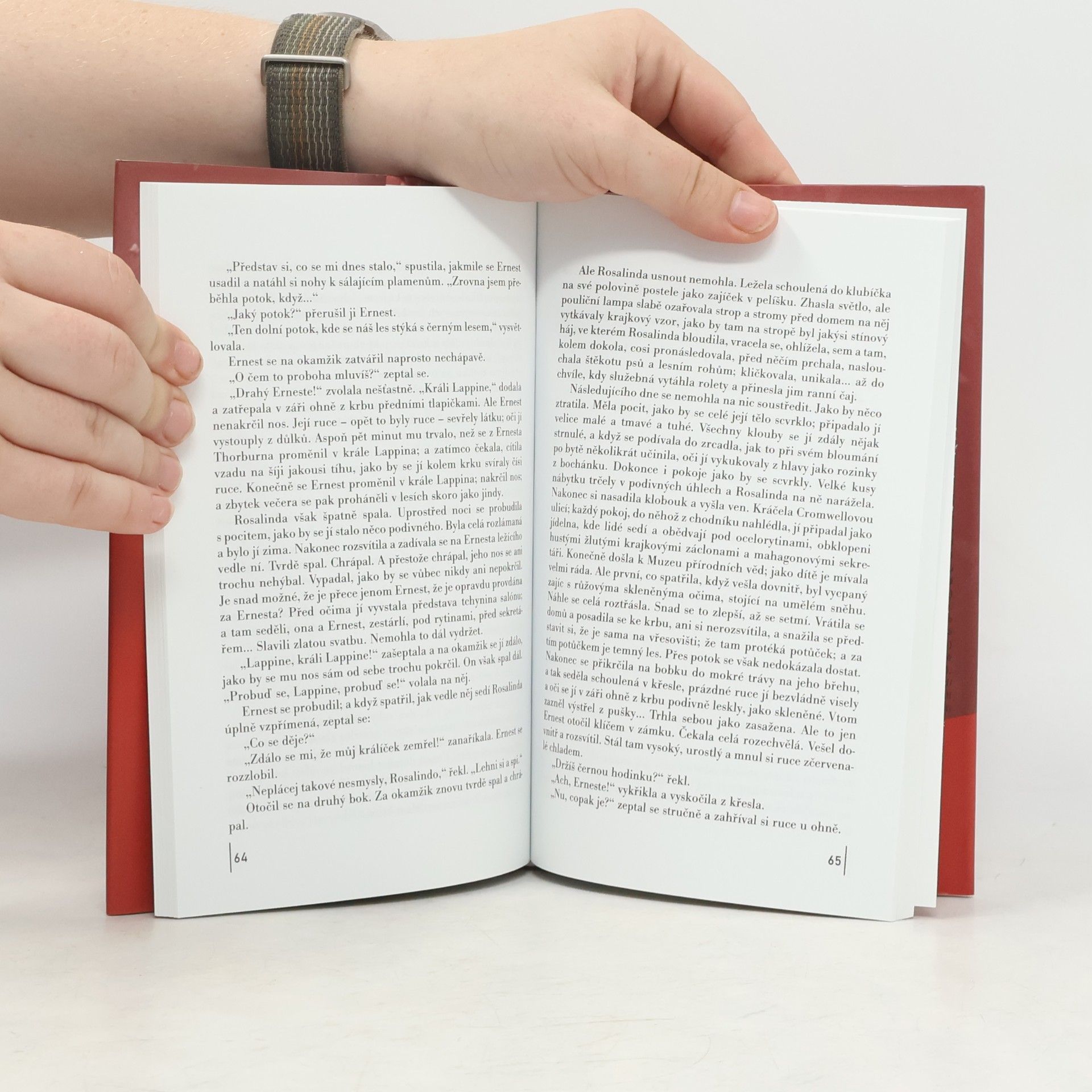 Virginia Woolf Strašidelný dům