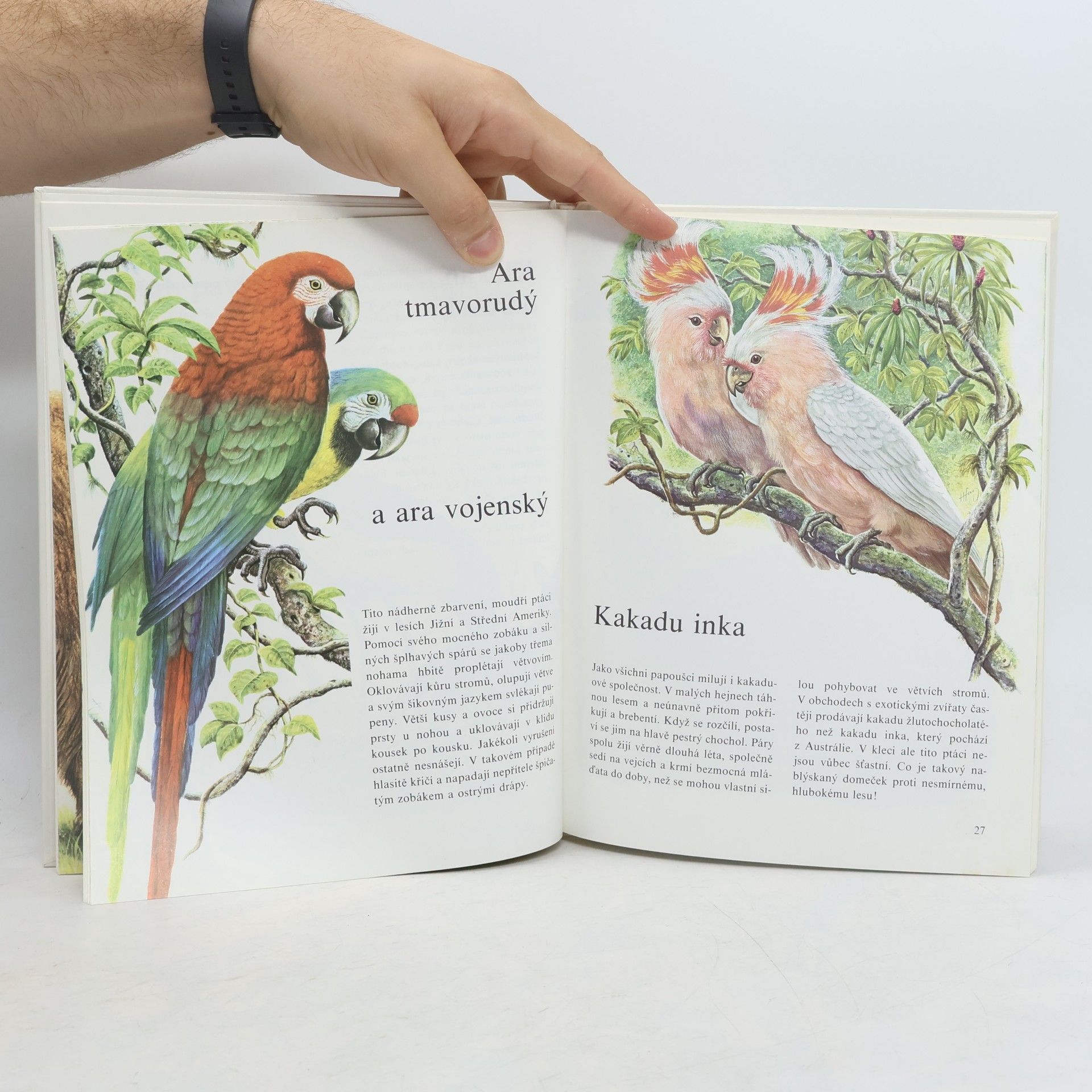 Erns W. Bauer Můj barevný atlas zvířat