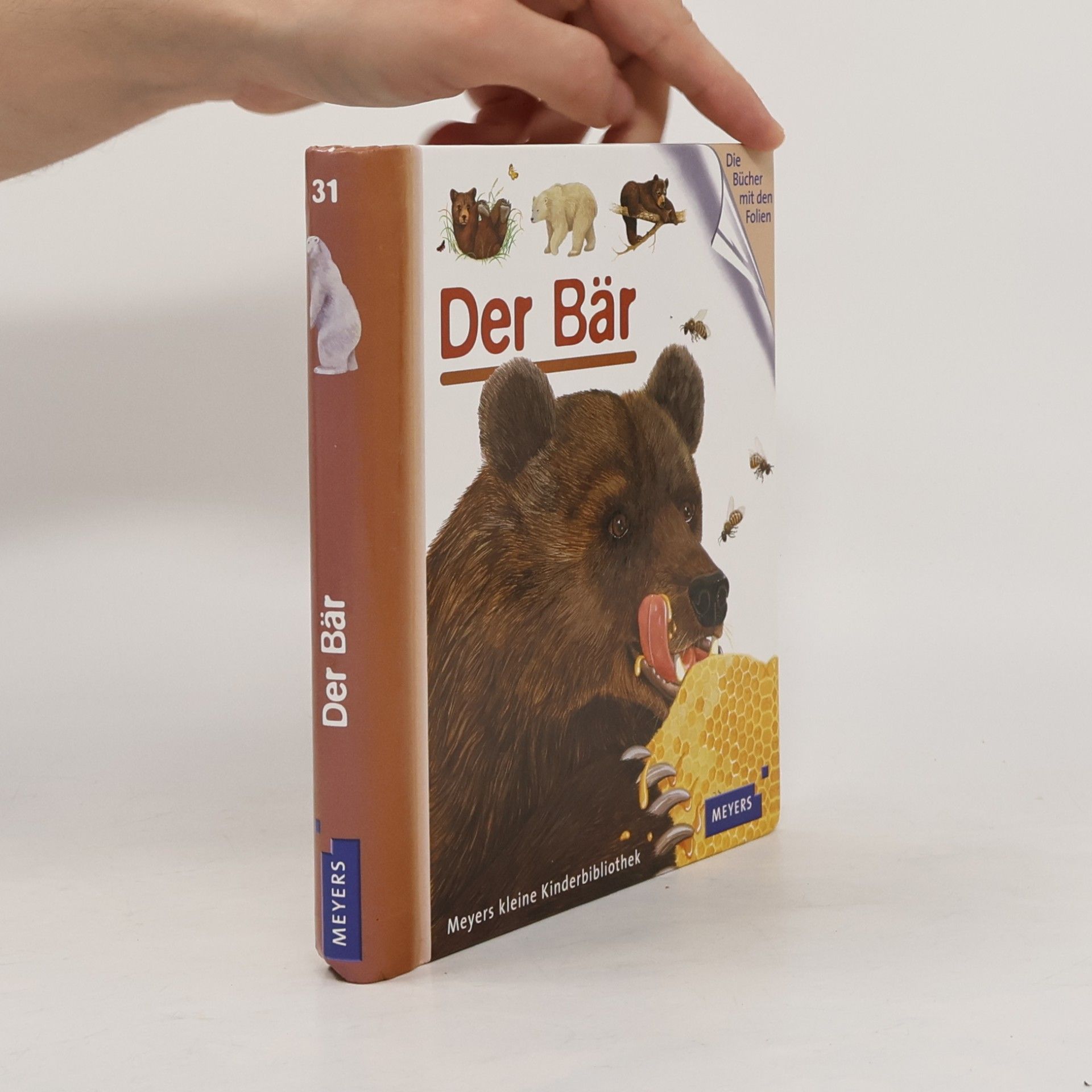 Der Bär