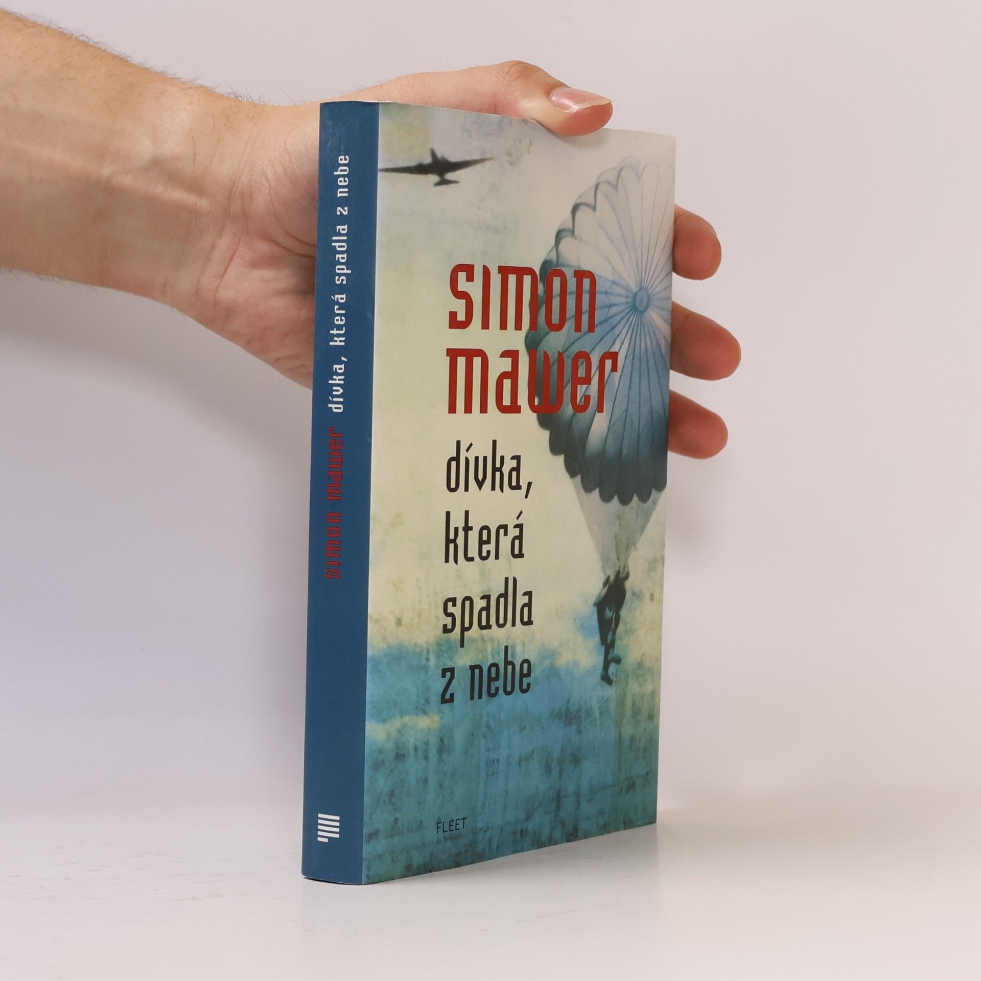 Simon Mawer Dívka, která spadla z nebe