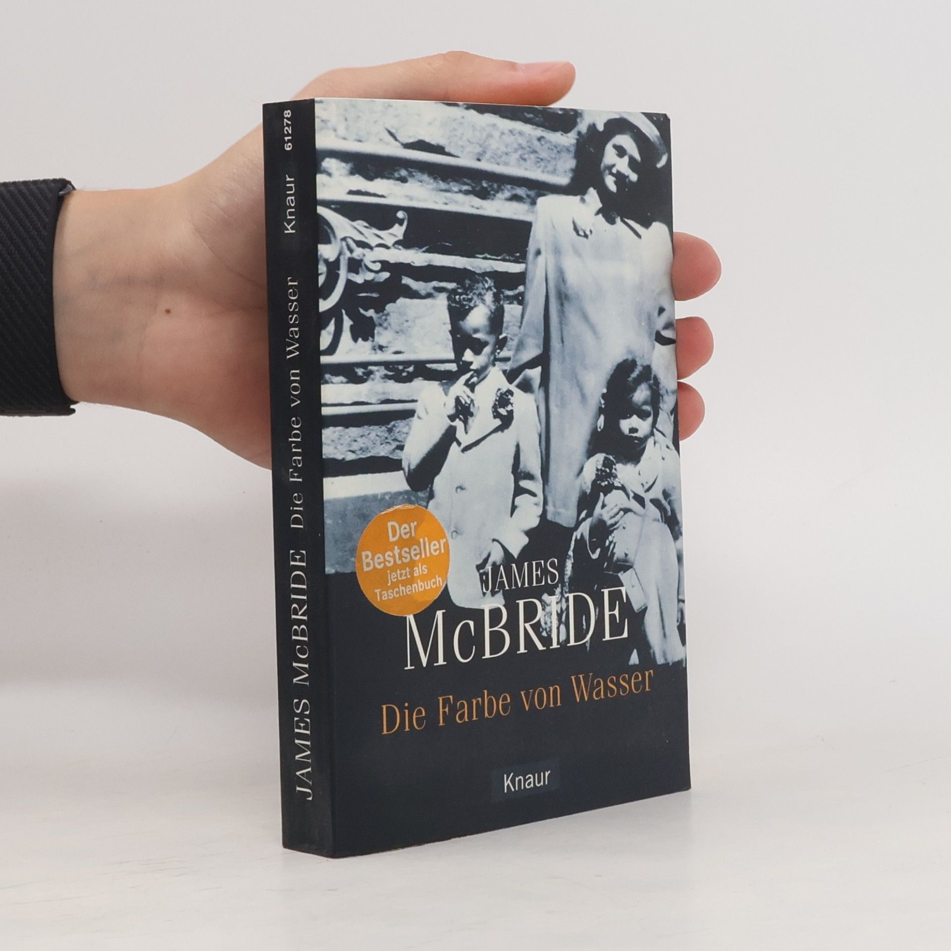 James McBride Die Farbe von Wasser