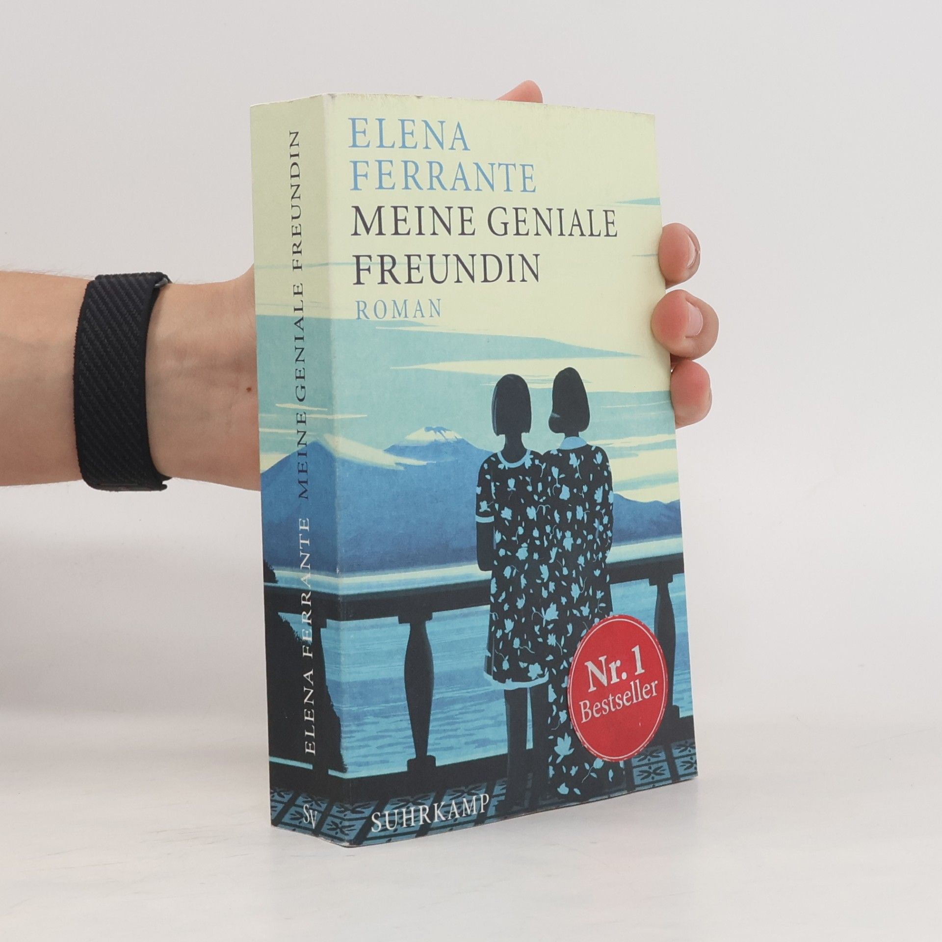 Elena Ferrante Meine geniale Freundin