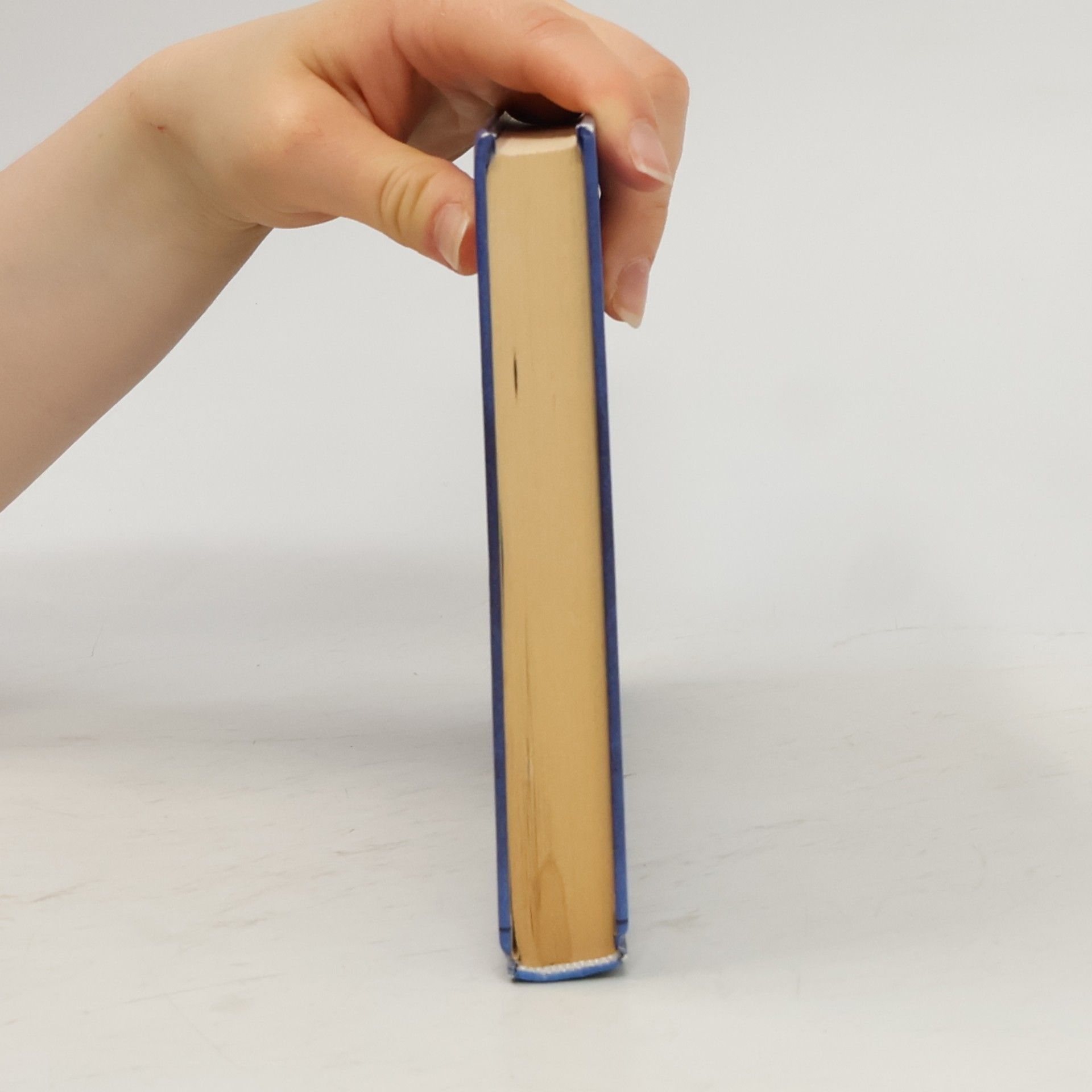 Jeff Kinney Deník odvážneho bojka 2. Rodrick je šéf
