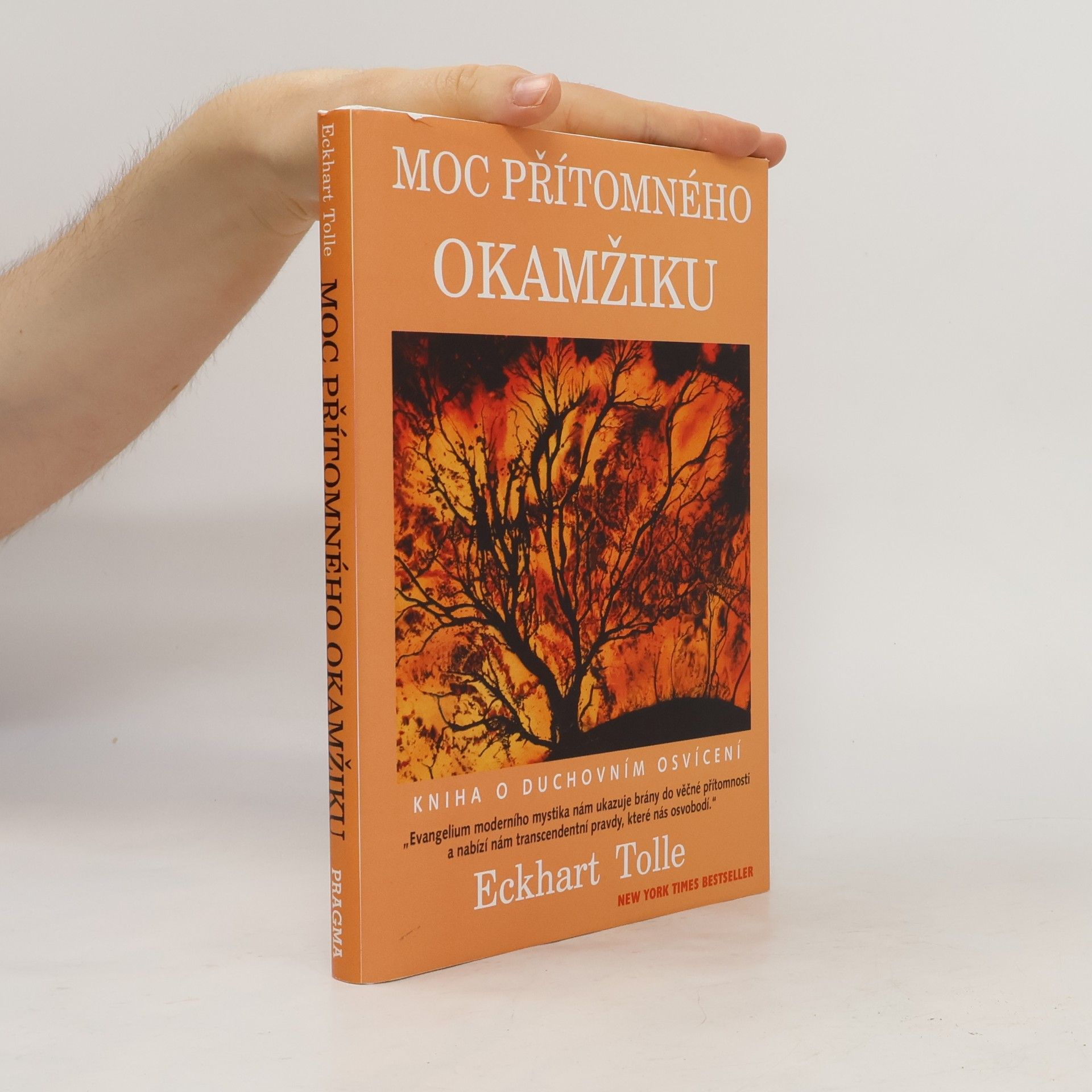 Eckhart Tolle Moc přítomného okamžiku