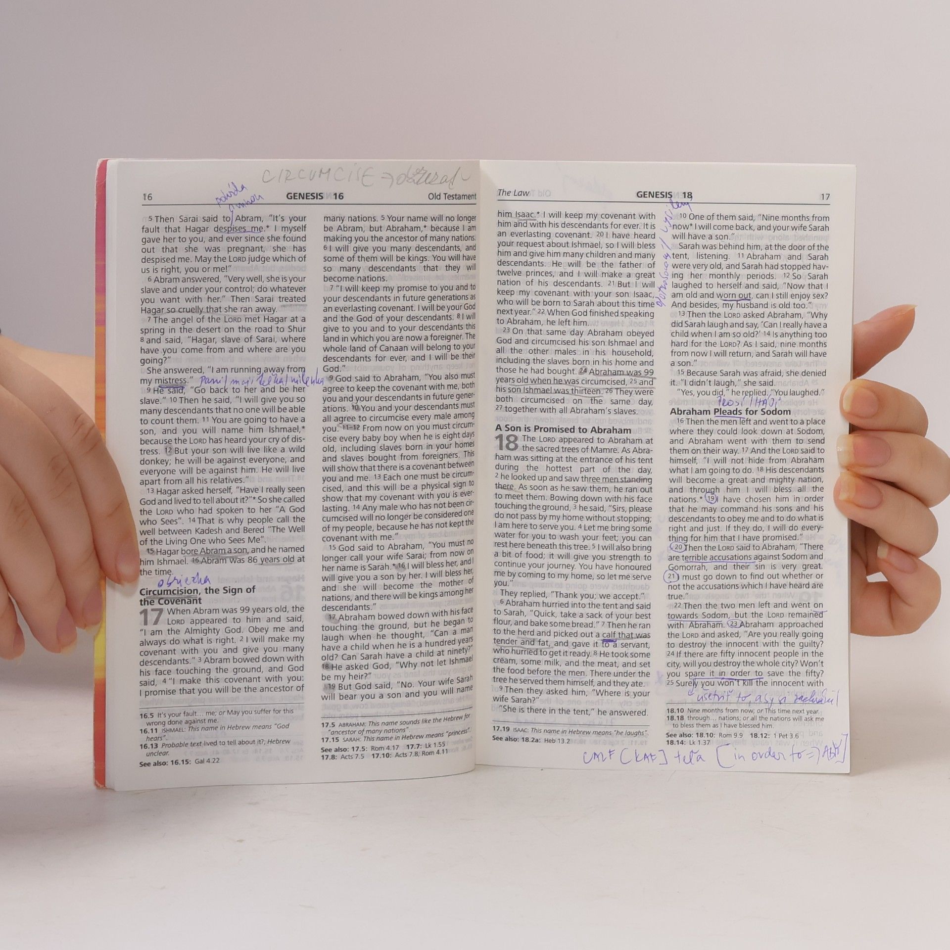 Anonymous Sunrise: Good News Bible