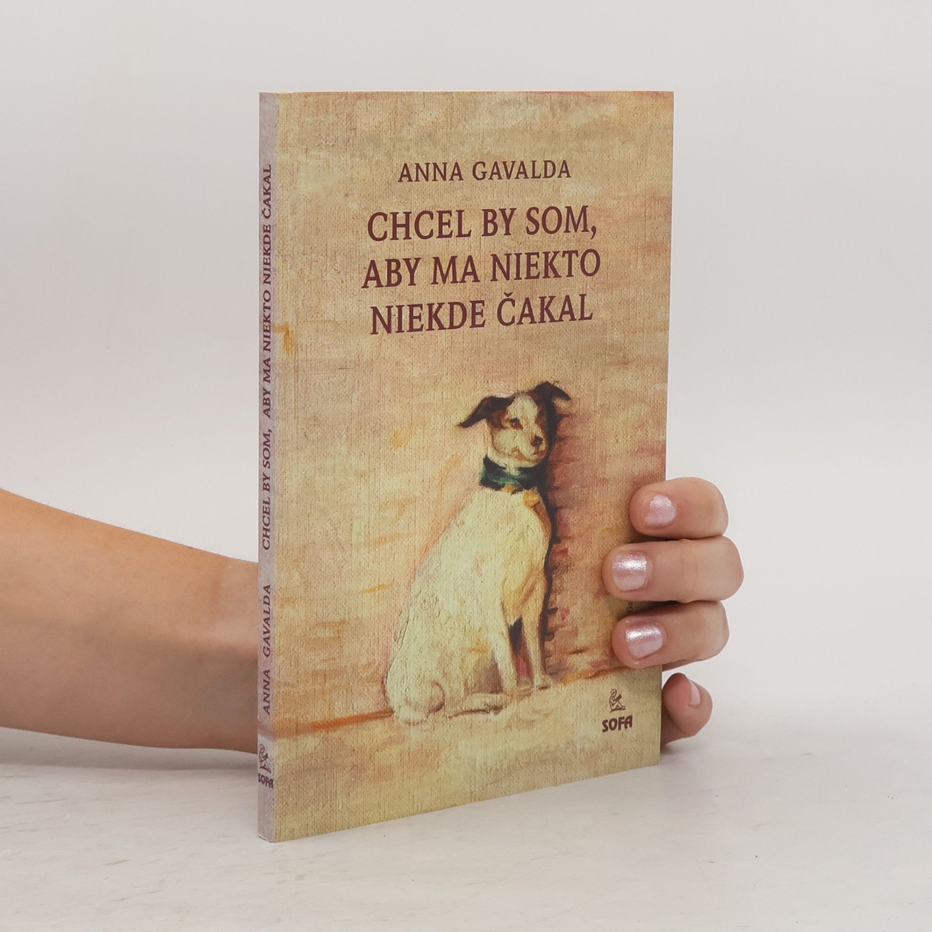 Anna Gavalda Chcel by som, aby na mňa niekto niekde čakal