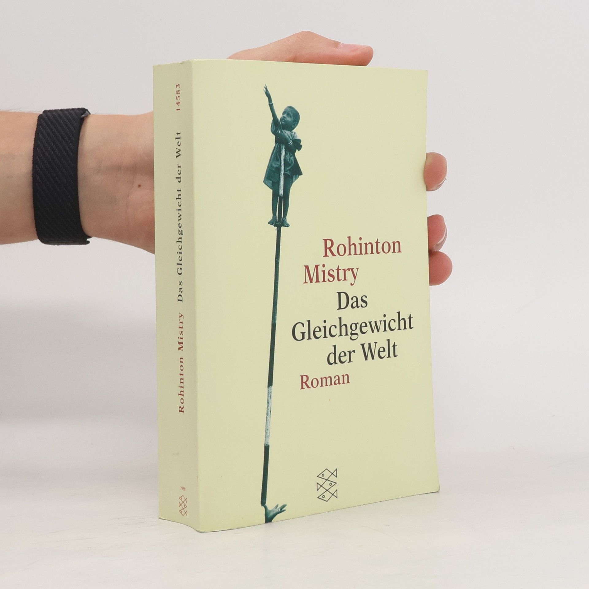Rohinton Mistry Das Gleichgewicht der Welt