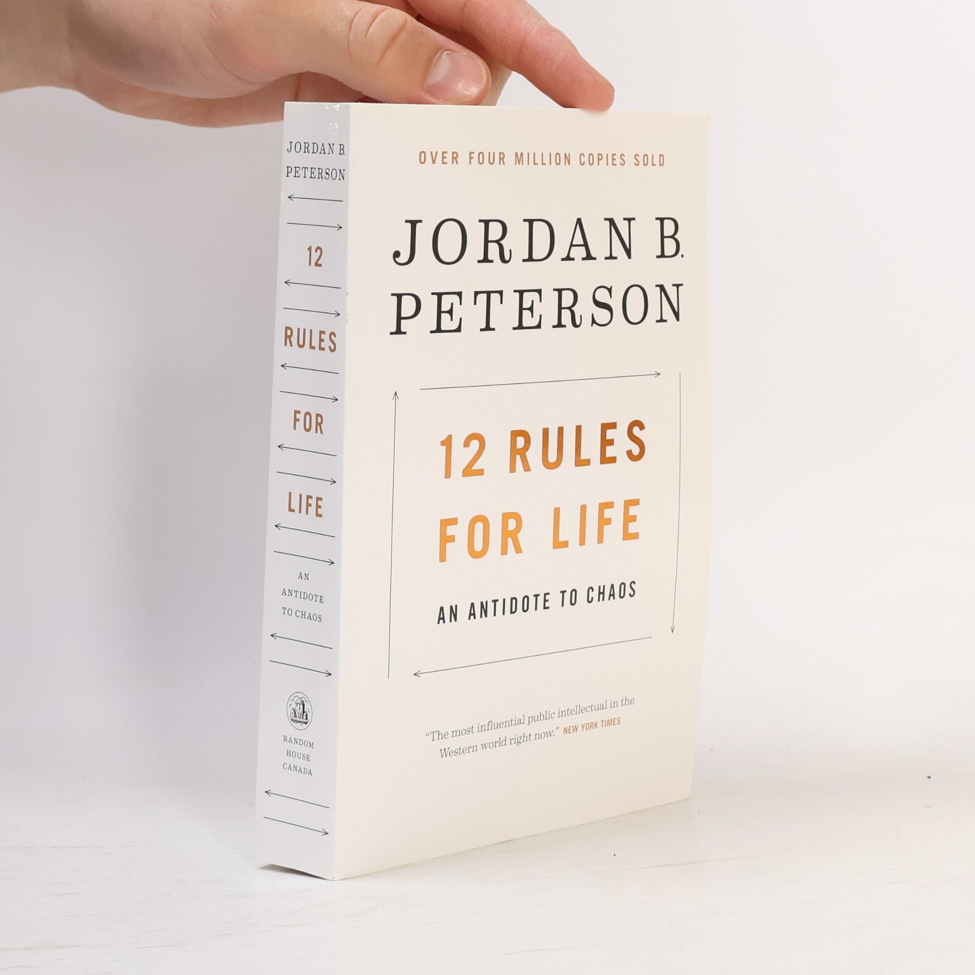 Jordan Peterson 12 Rules for Life