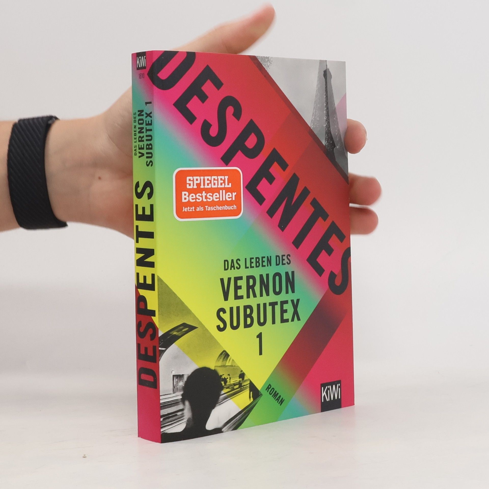 Virginie Despentes Das Leben des Vernon Subutex 1