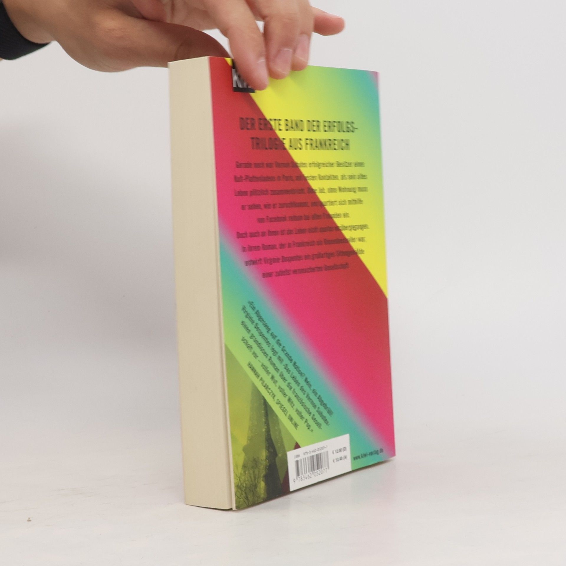 Virginie Despentes Das Leben des Vernon Subutex 1