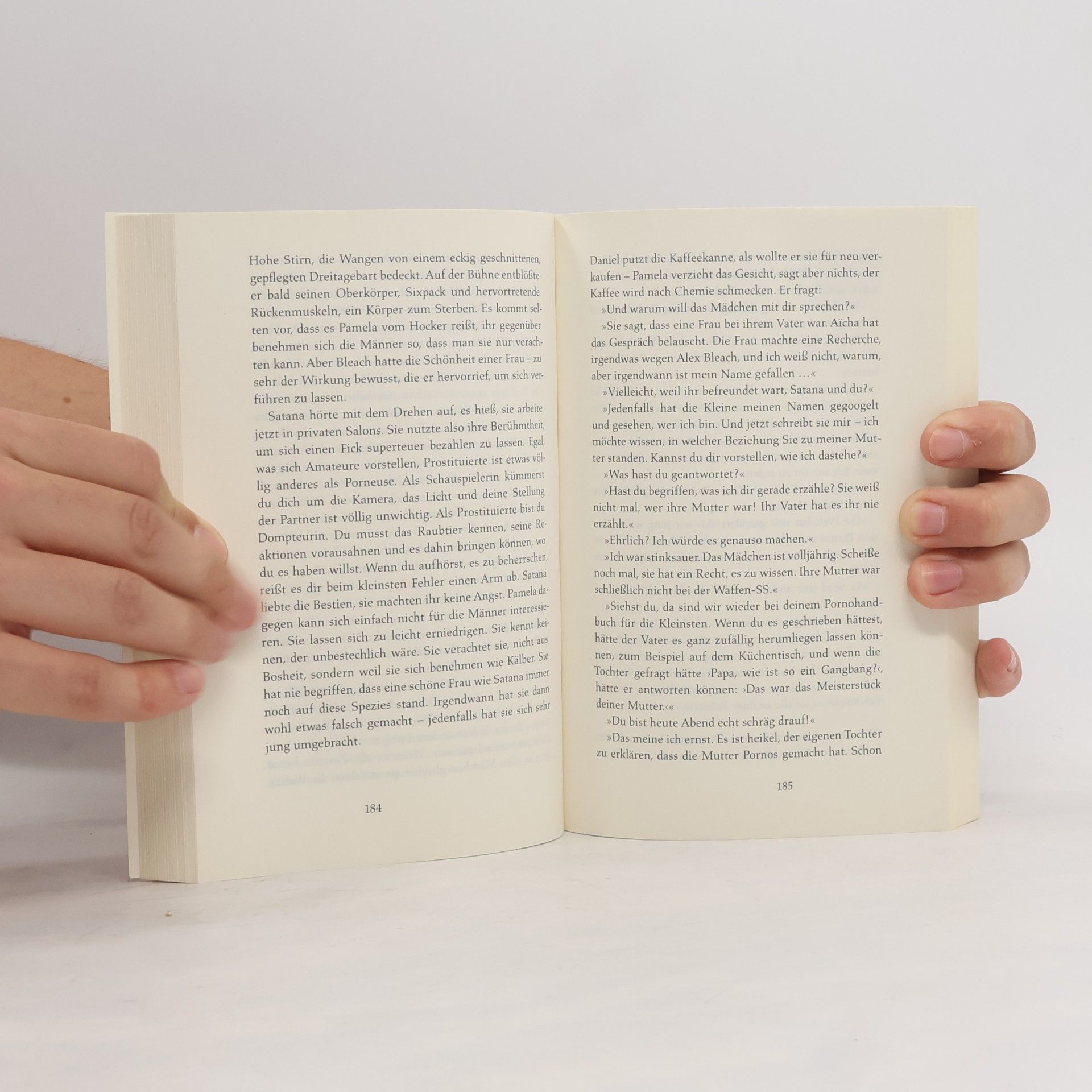 Virginie Despentes Das Leben des Vernon Subutex 1