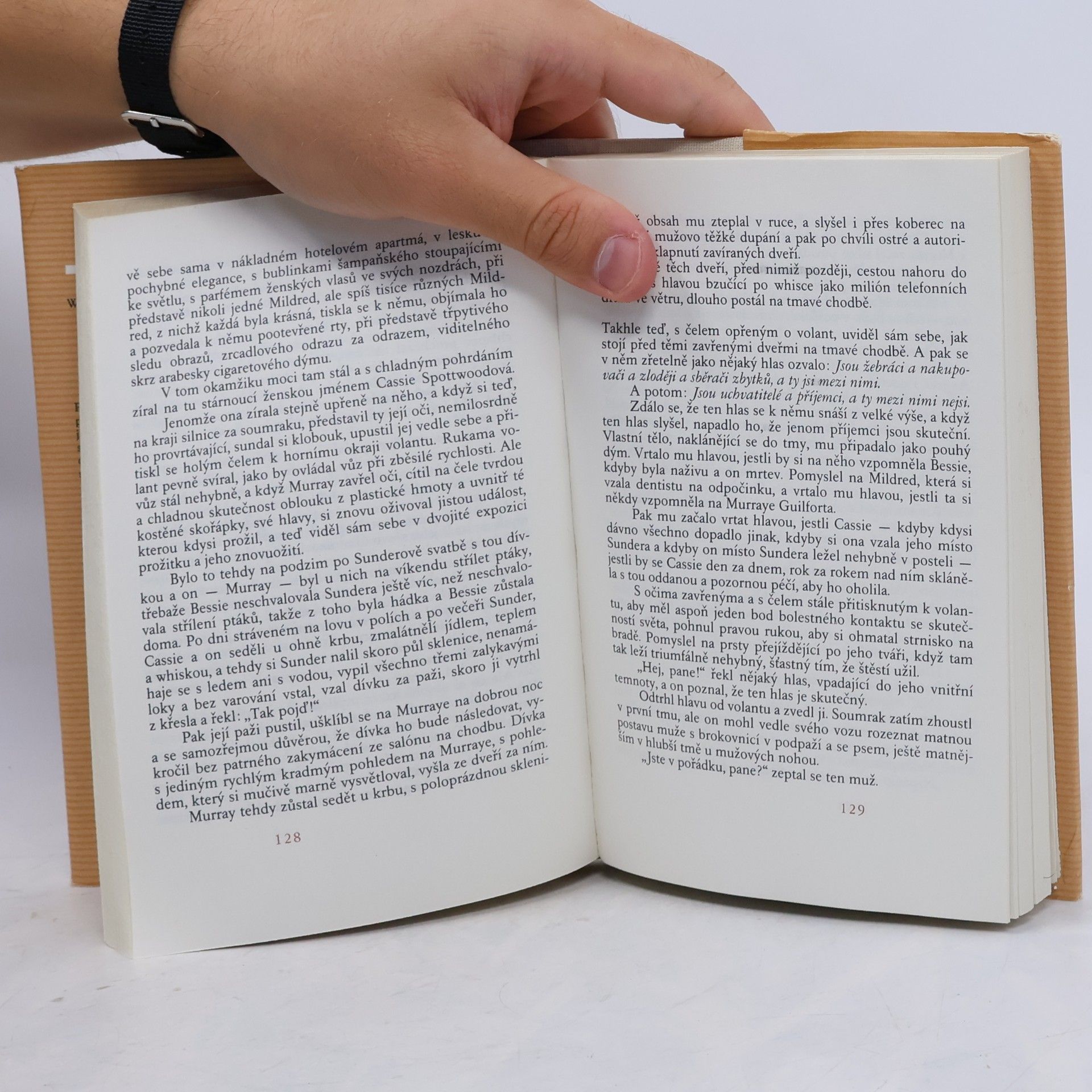 Robert Penn Warren Na shledanou v zeleném údolí