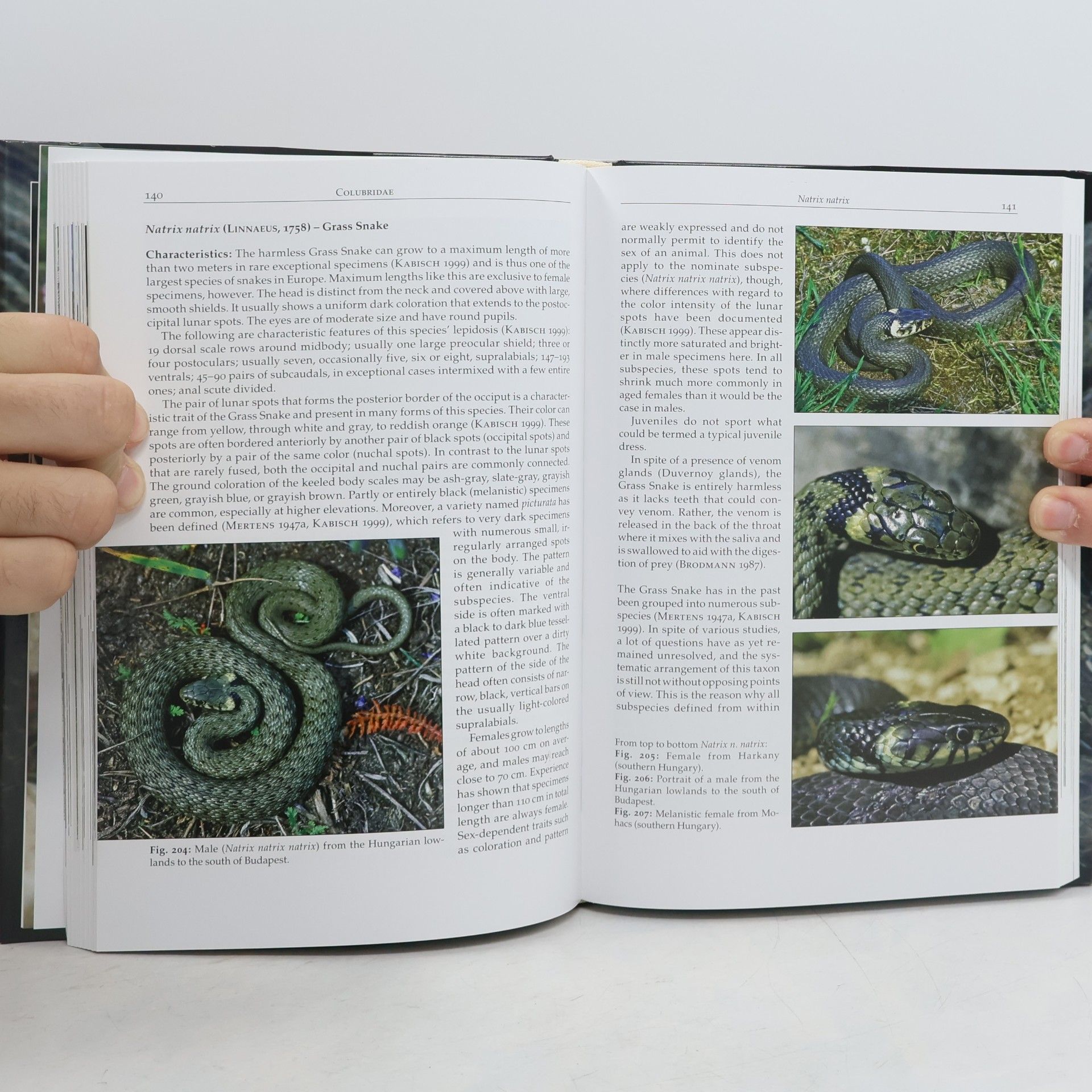 Guido Kreiner Snakes of Europe