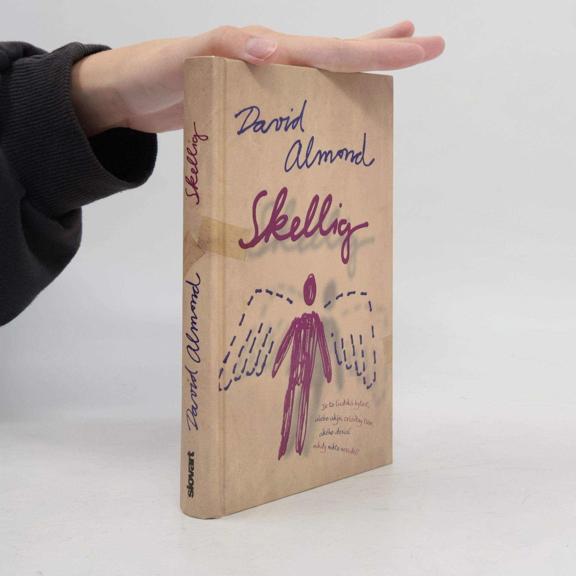 David Almond Skellig