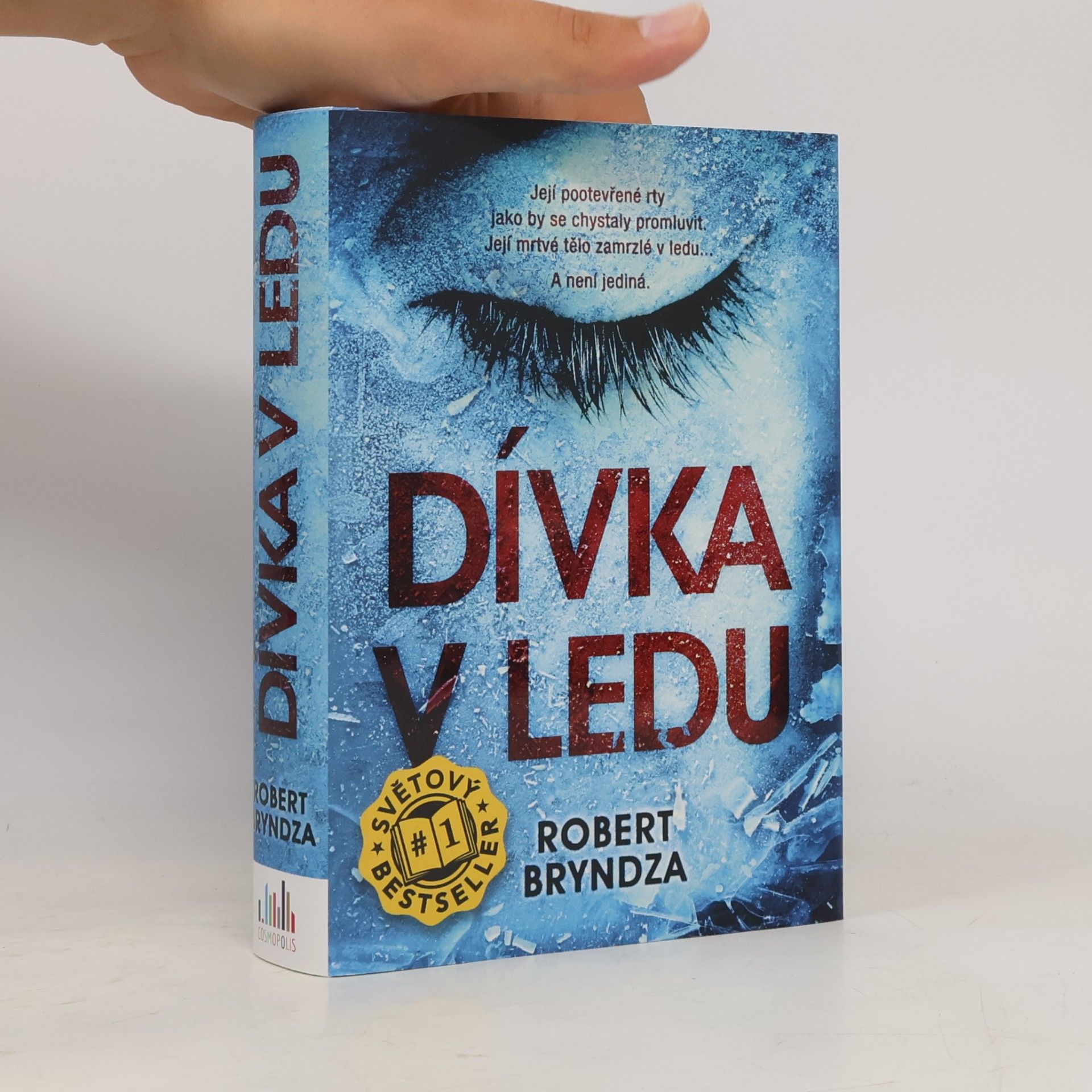 Robert Bryndza Dívka v ledu