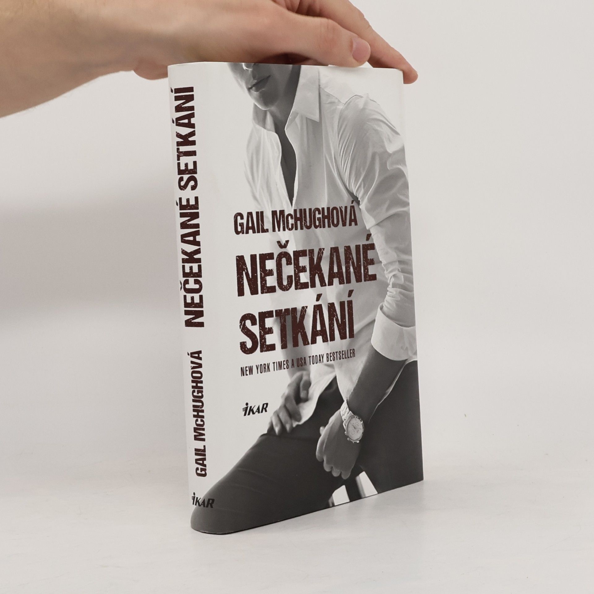 Gail McHugh Nečekané setkání