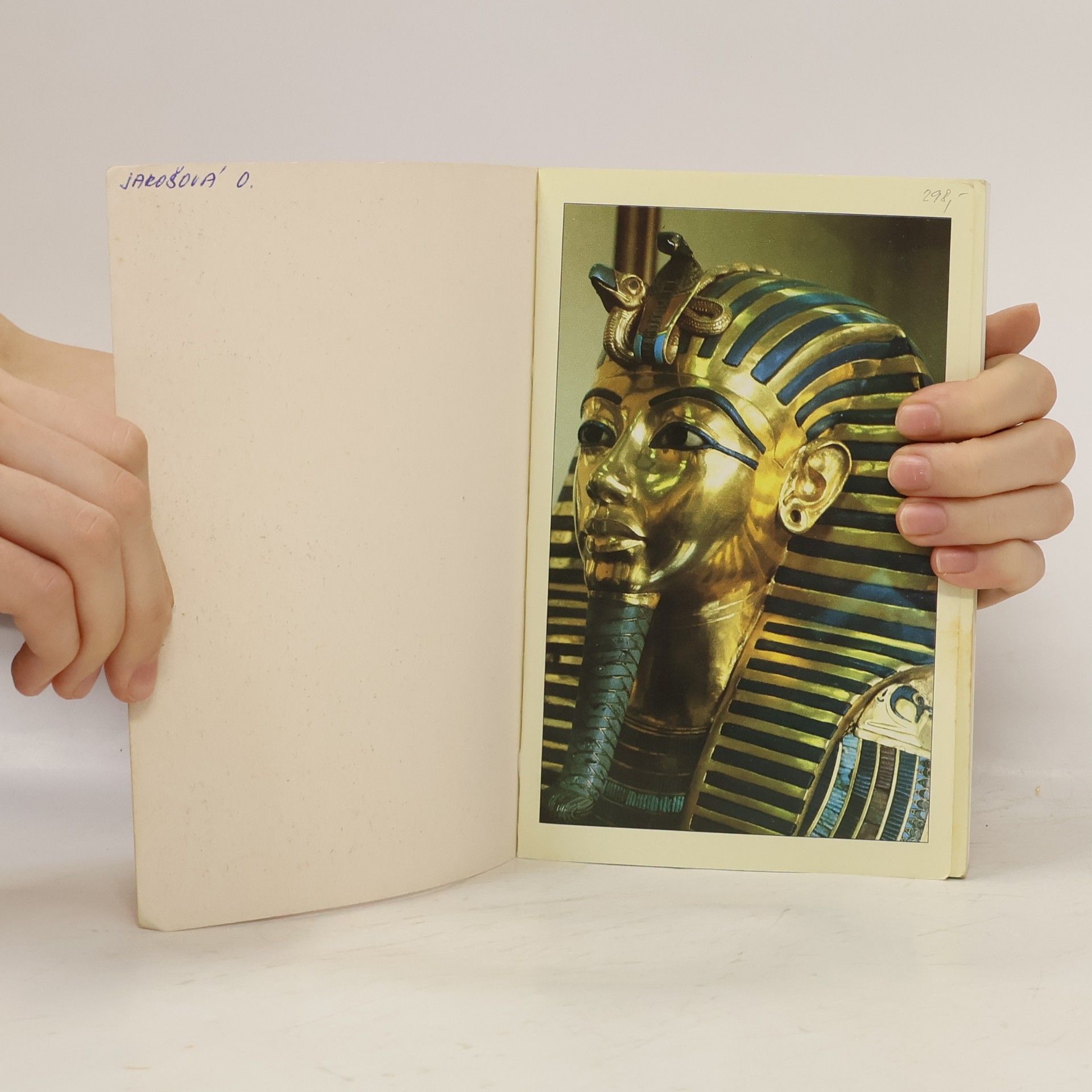 Eva Ambros Egypt