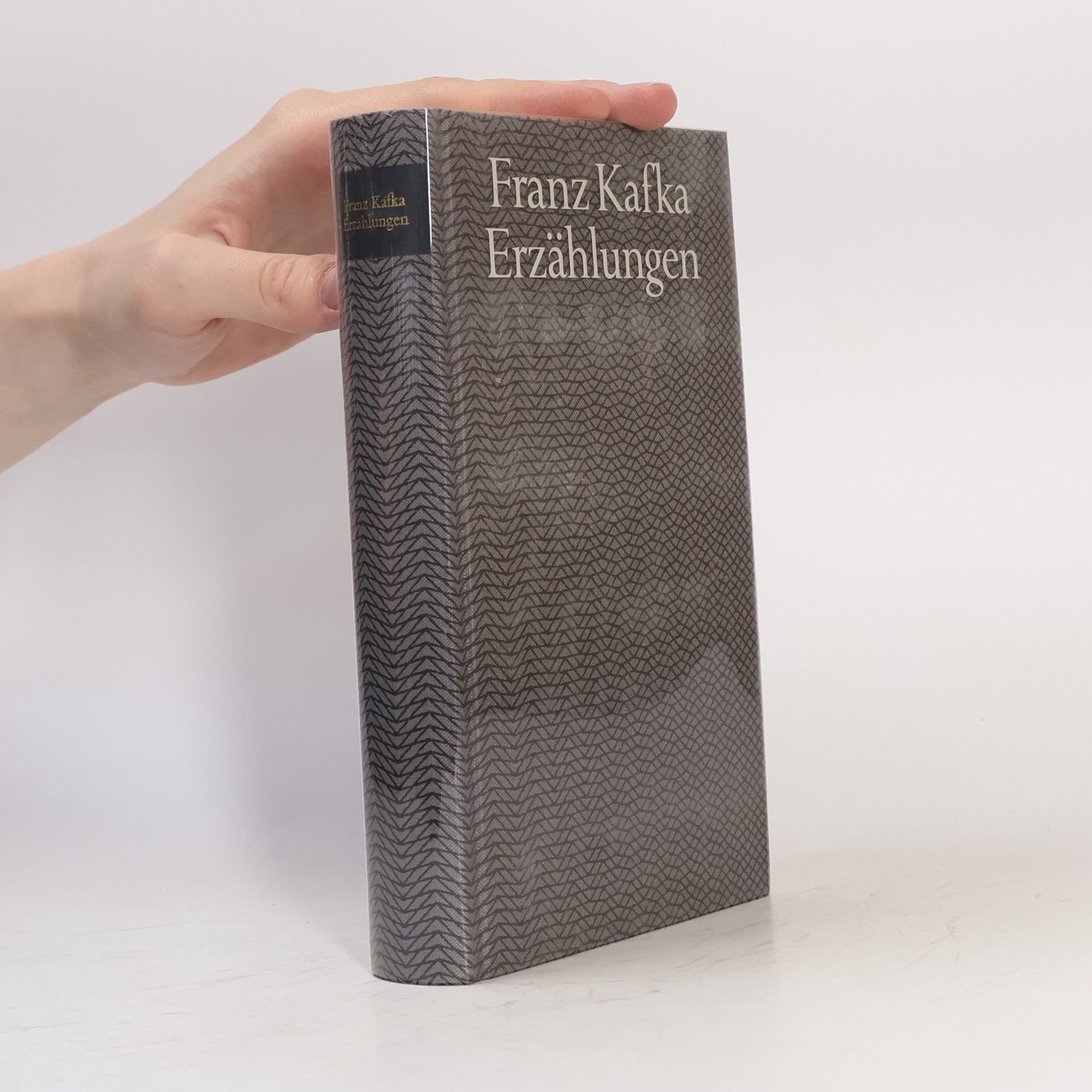 Franz Kafka Erzählungen
