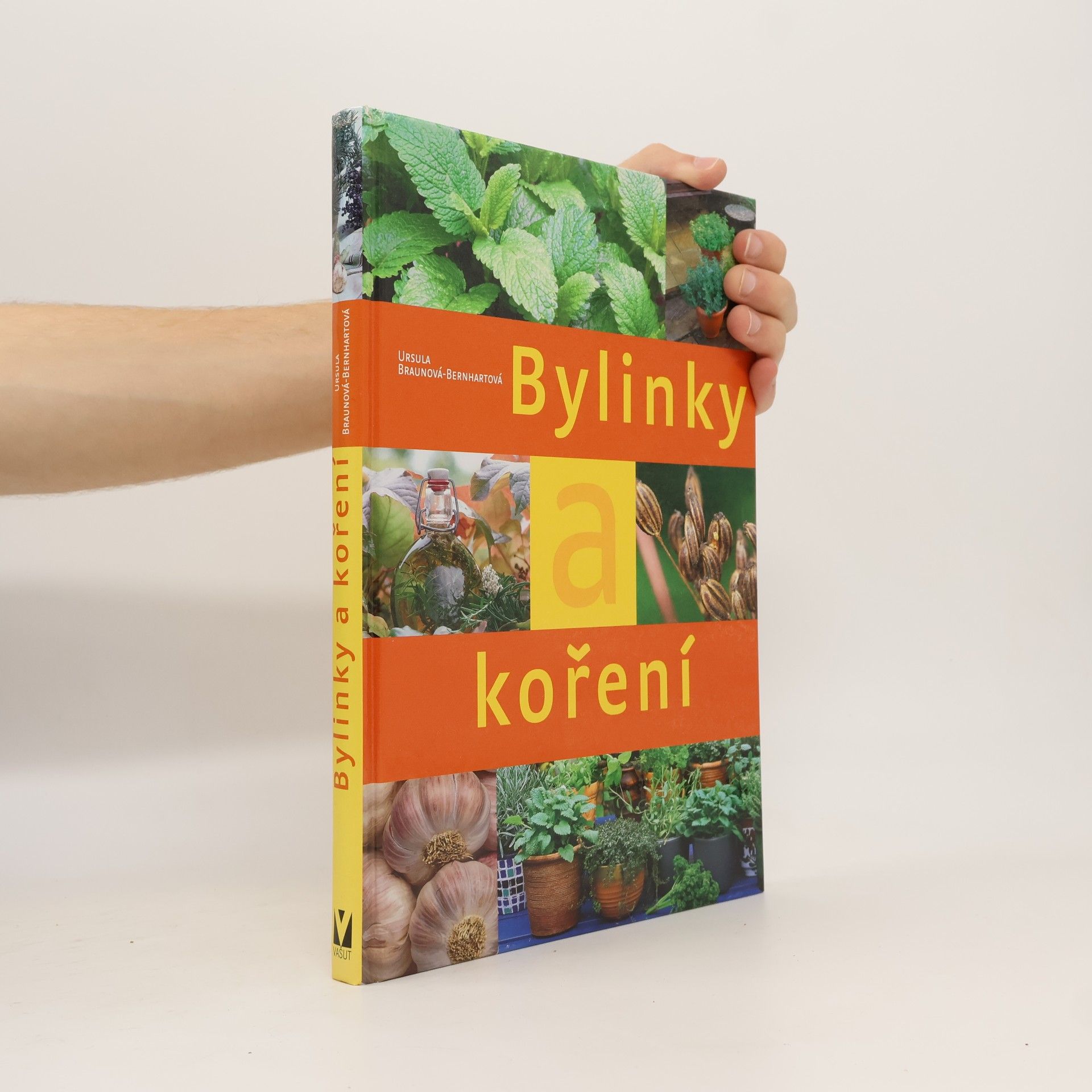 Bylinky a koření