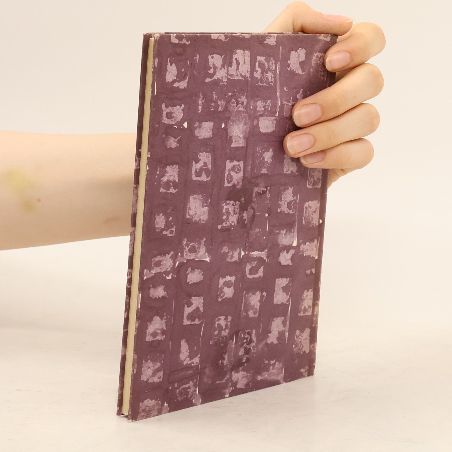 Alberto Journal Römisches Journal