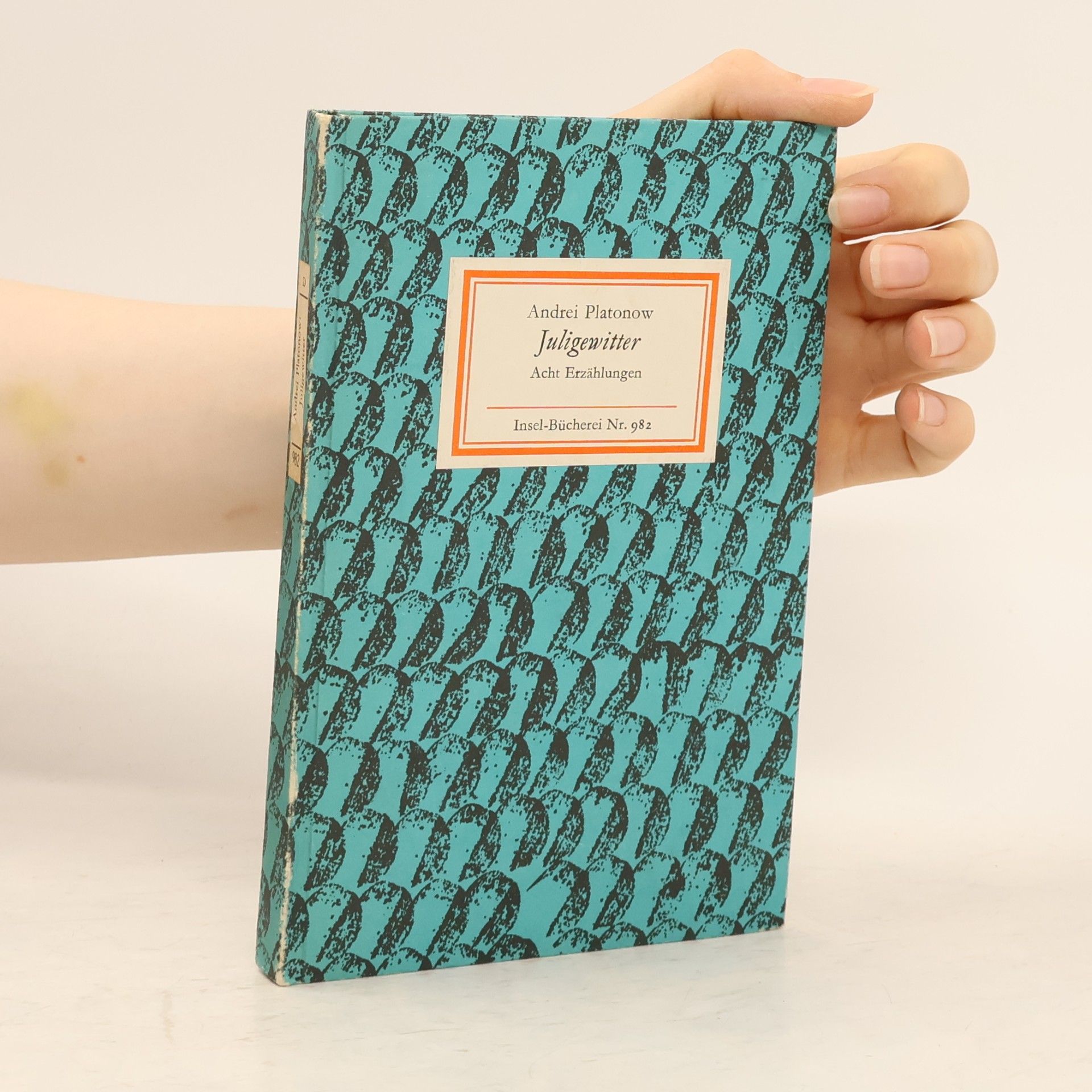 Andrei Platonov Juligewitter